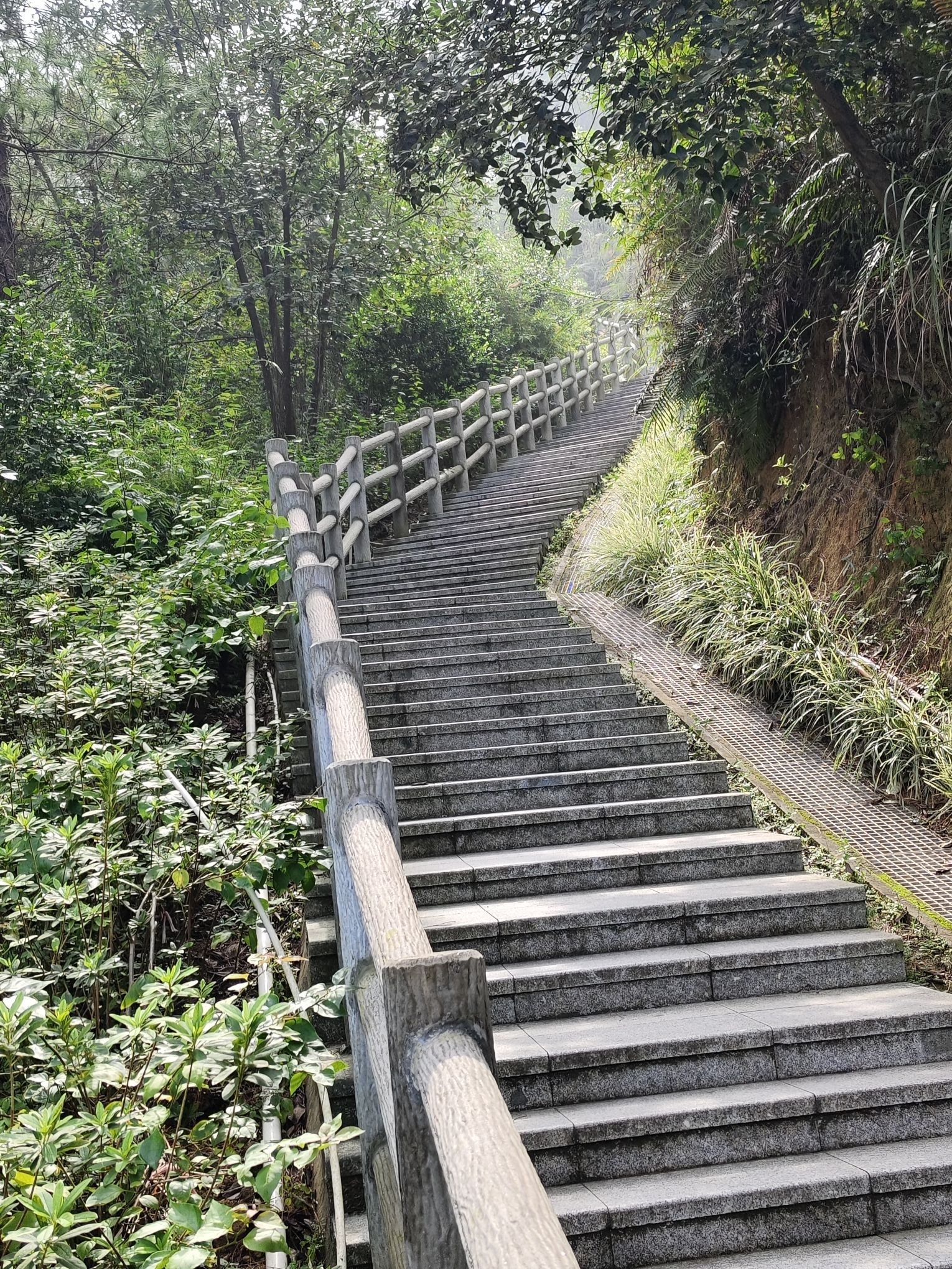 石牛山森林公园