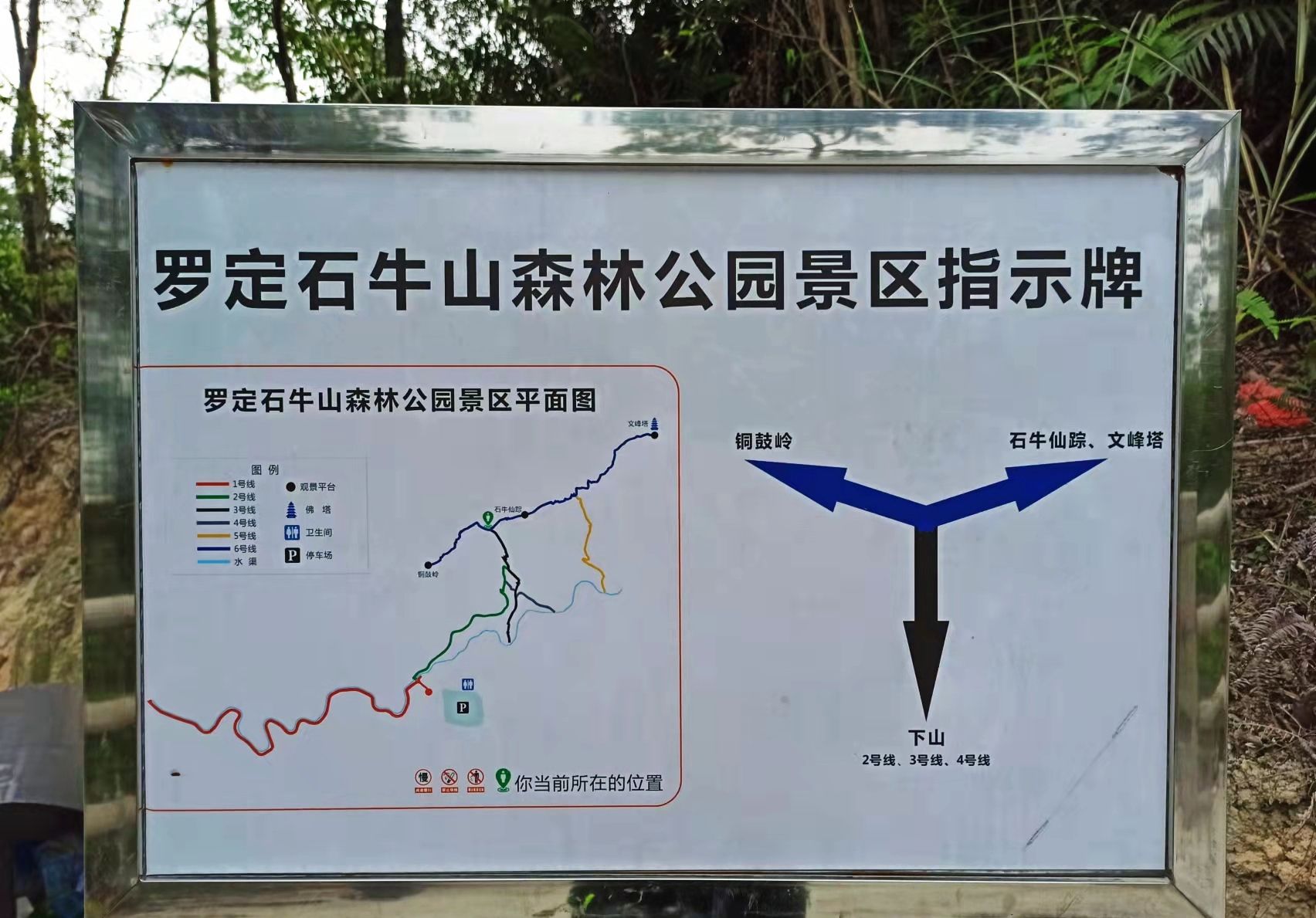 石牛山森林公园旅行图片 2