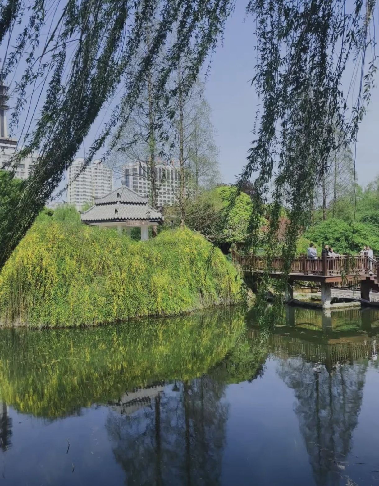 郑州市紫荆山公园-西园