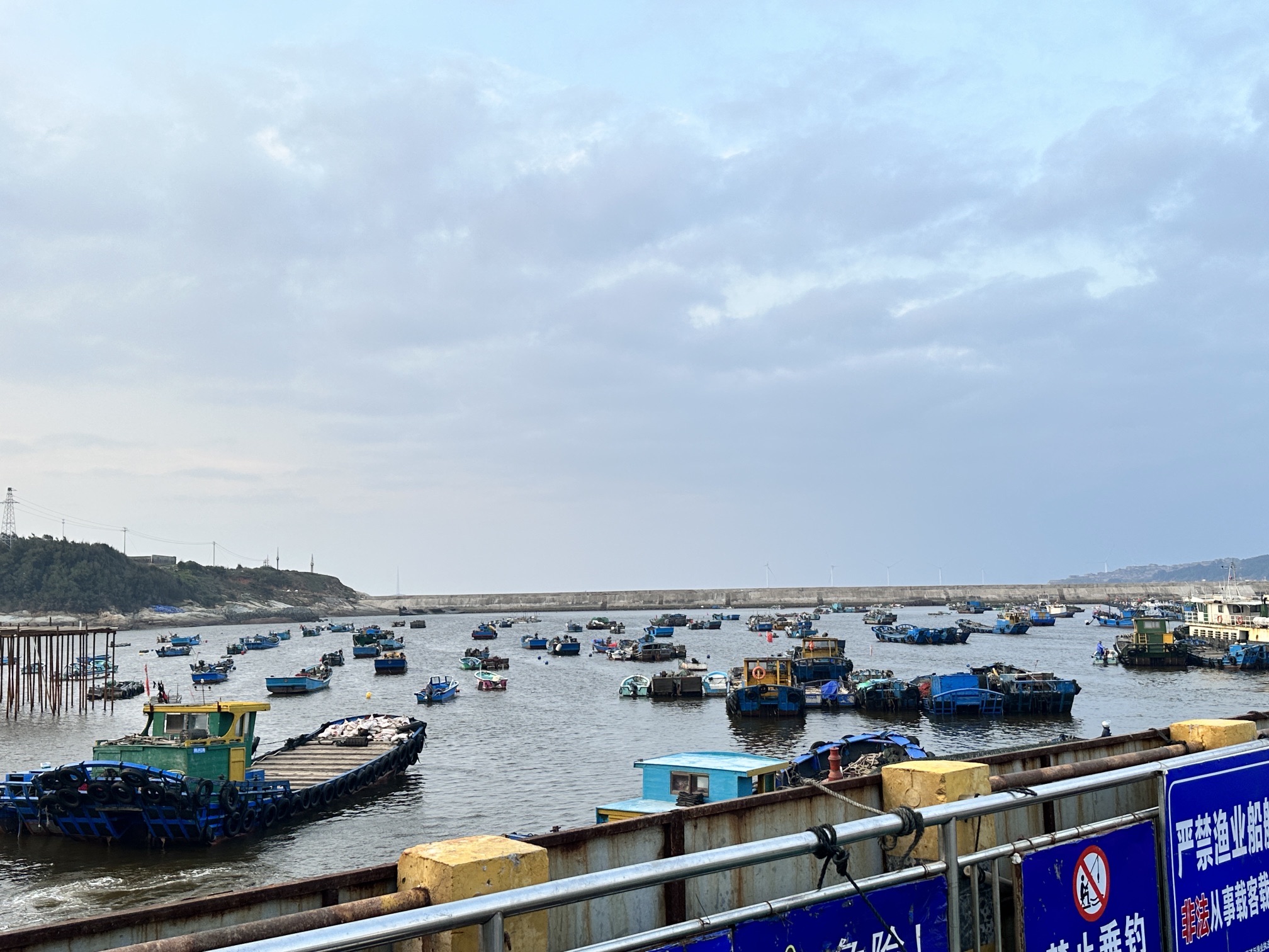 蓝眼泪观景点(长江澳海滩)旅行图片 1