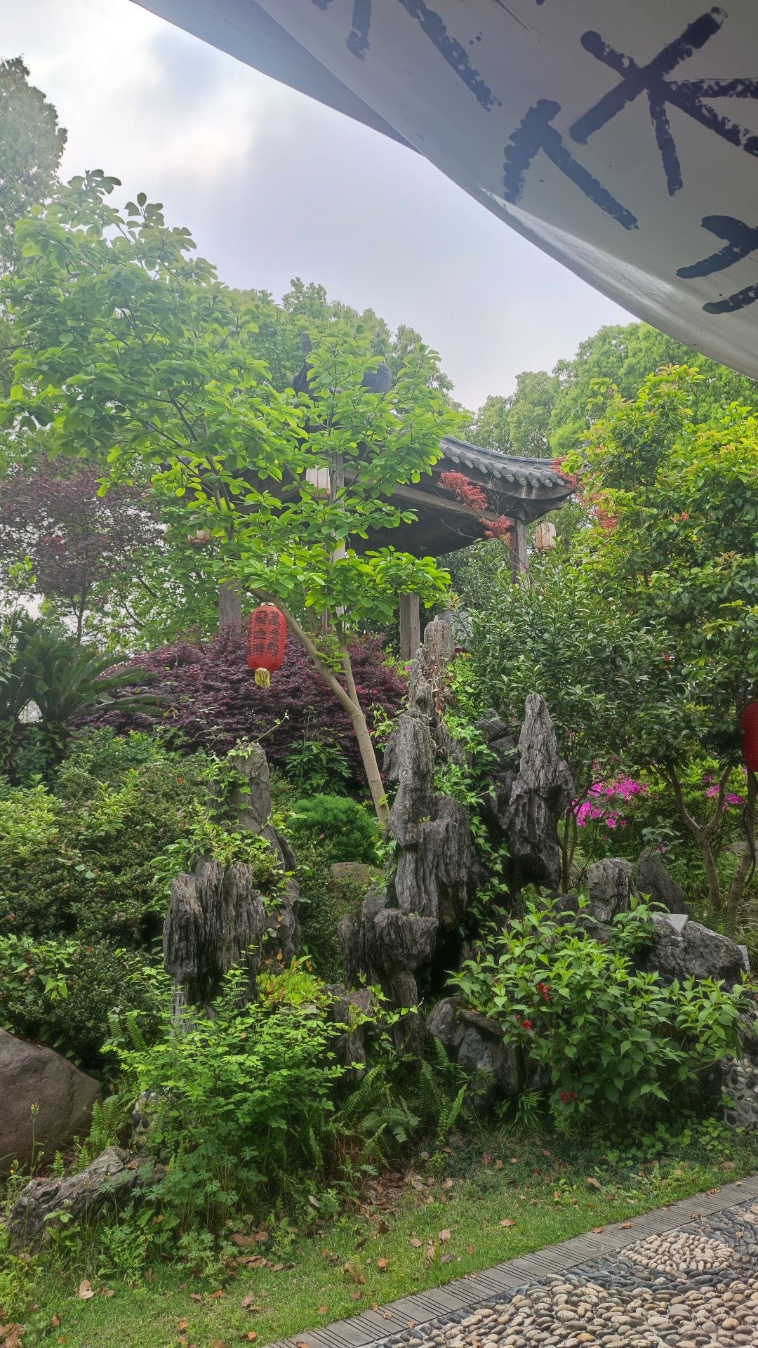 长寿寺文化园旅行图片 2