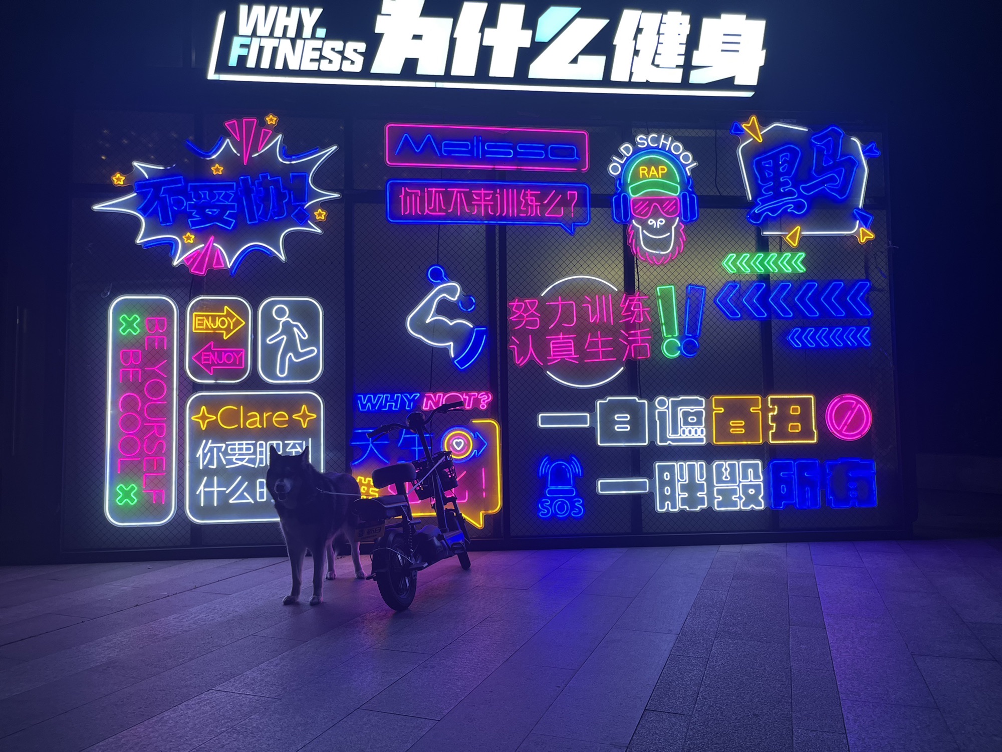 场地封面-为什么健身