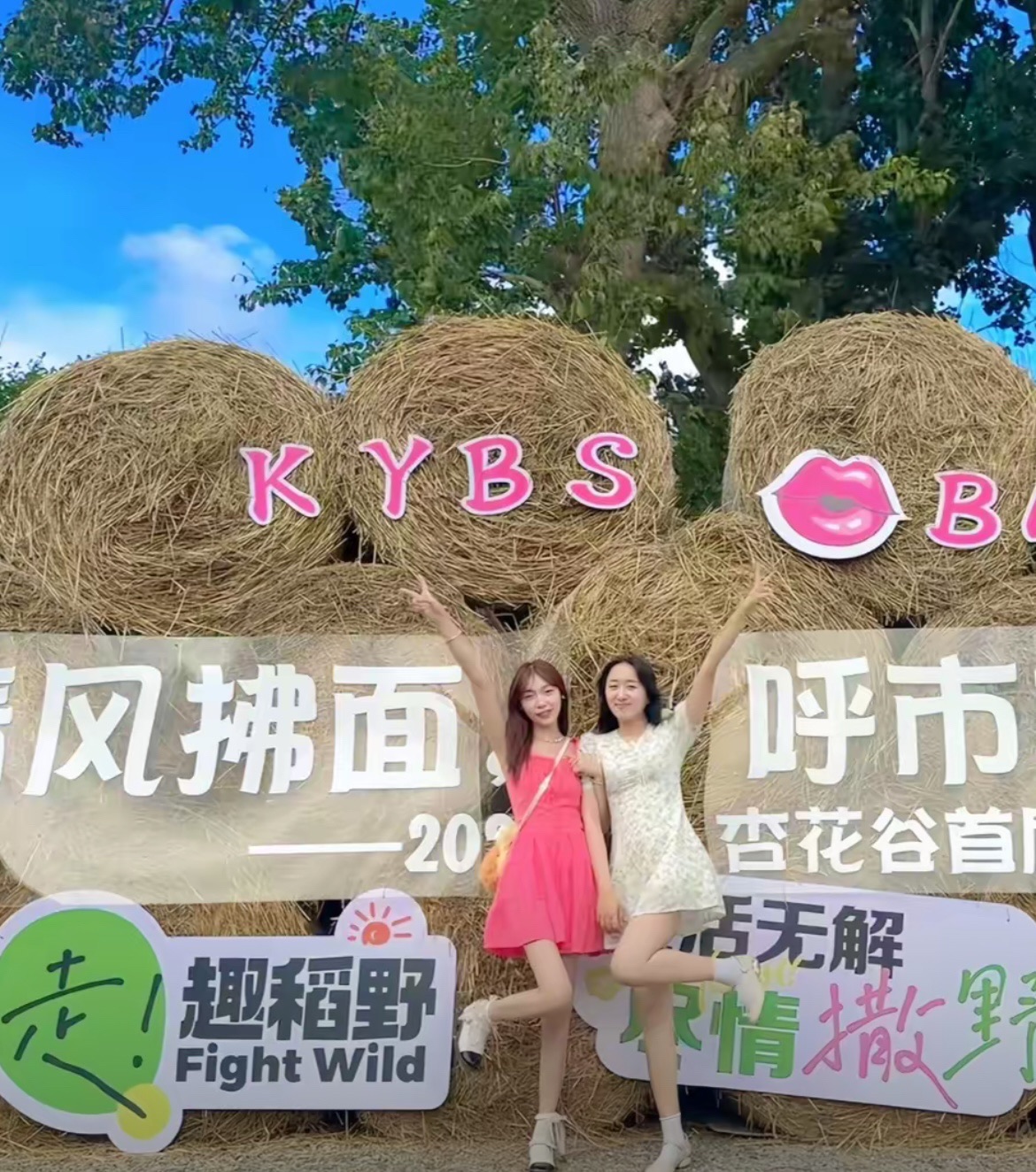乌素图杏花谷旅行图片 3