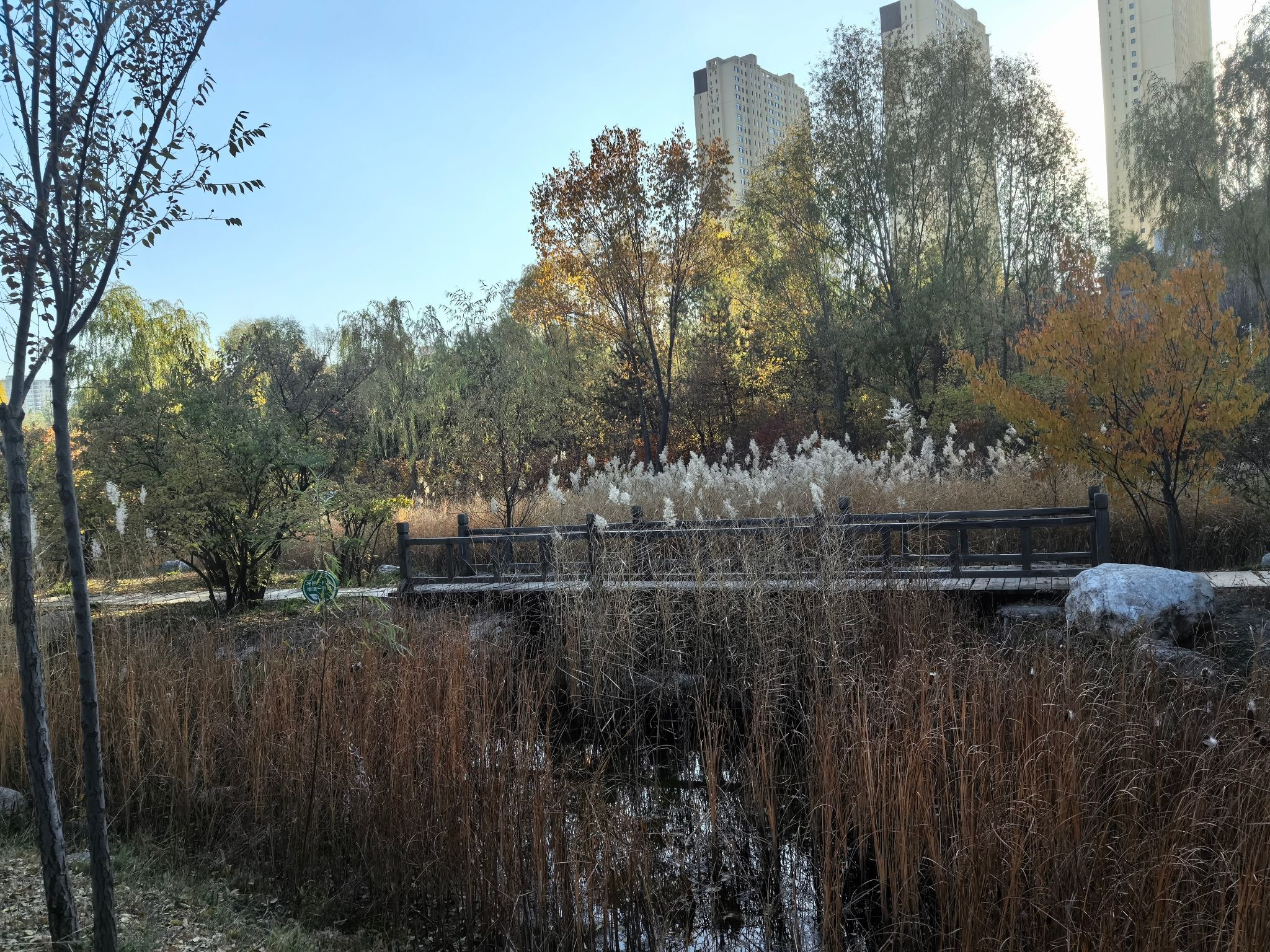 乌素图杏花谷旅行图片 1
