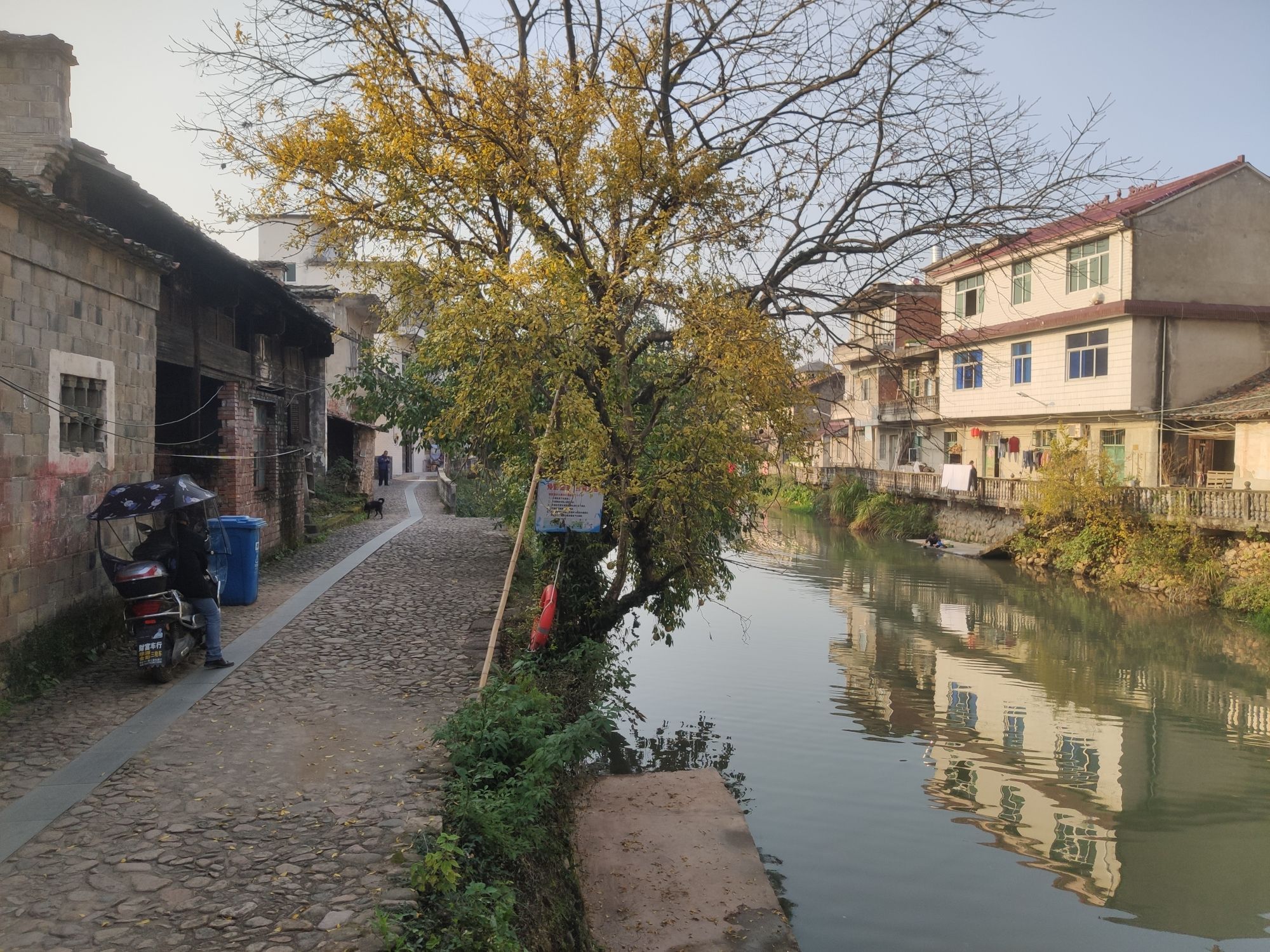 嵩峰乡十都王家大院旅行图片 3