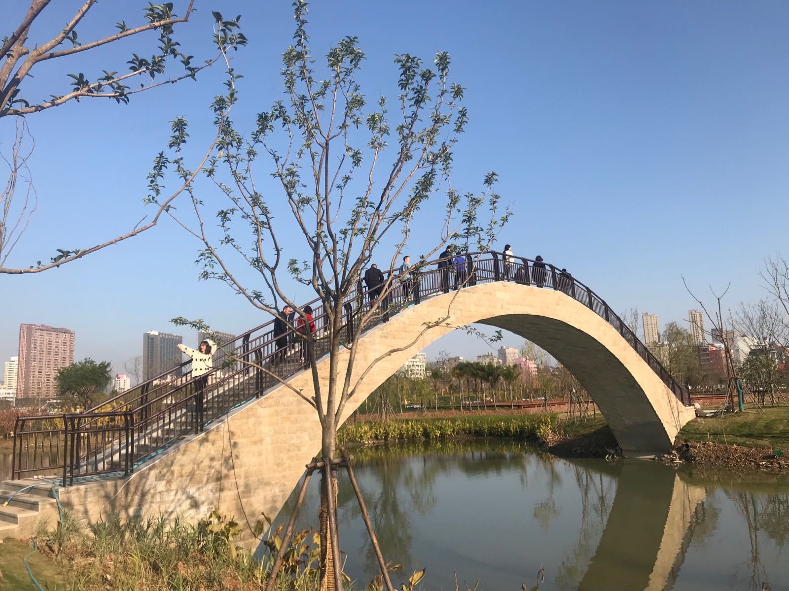林宅湿地公园旅行图片 3