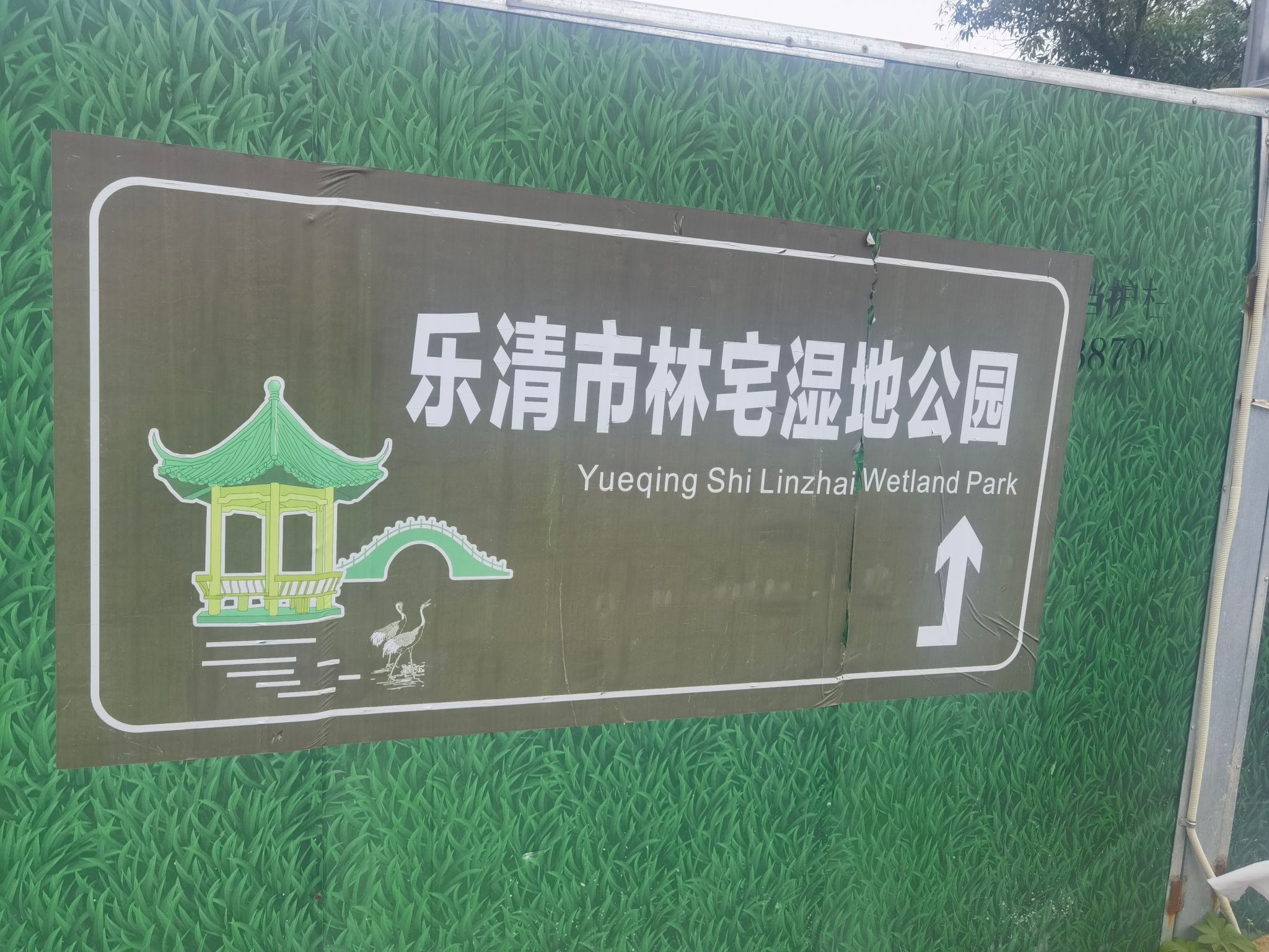 林宅湿地公园旅行图片 1