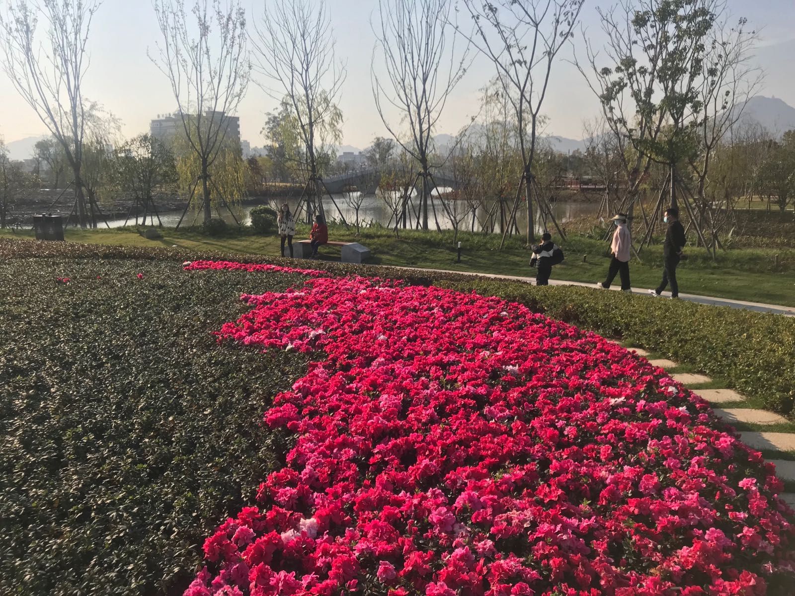 林宅湿地公园旅行图片 2