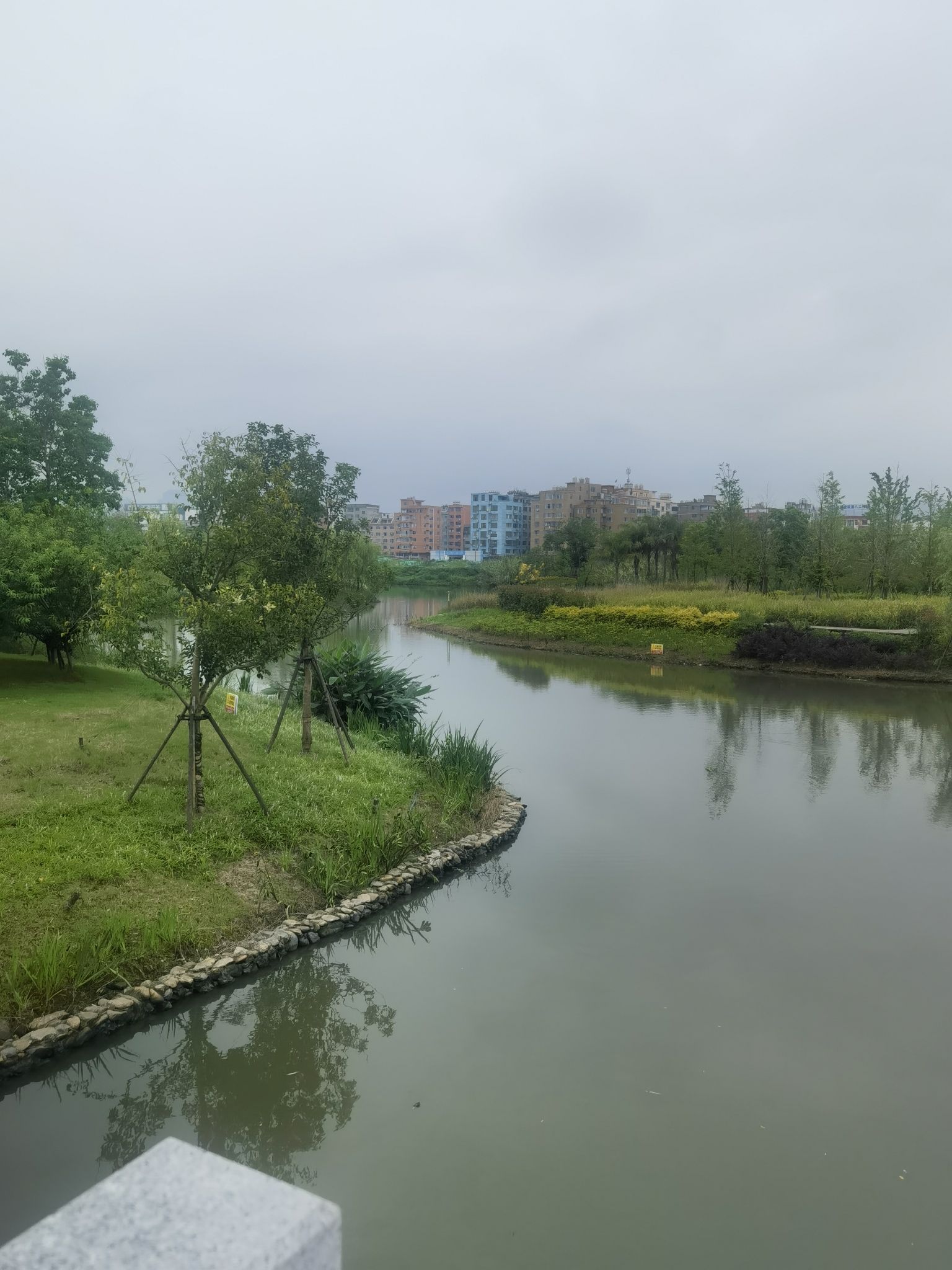 林宅湿地公园旅行图片 3