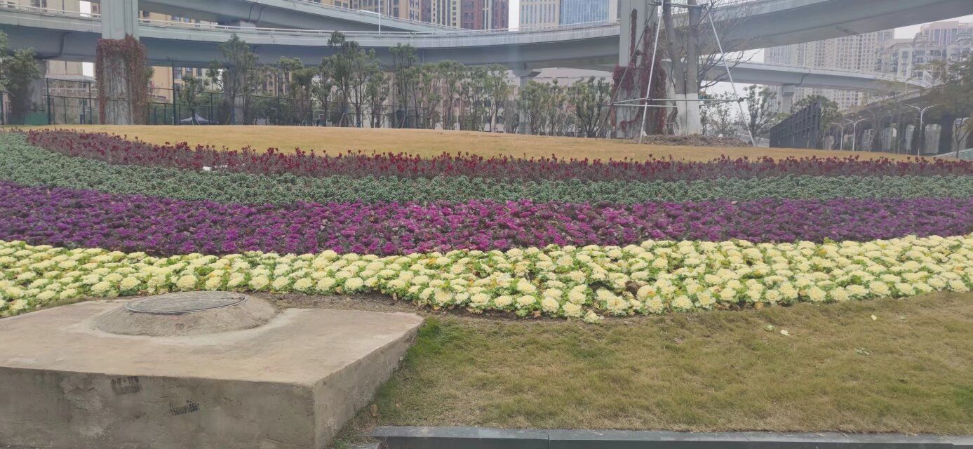 复兴体育公园旅行图片 3