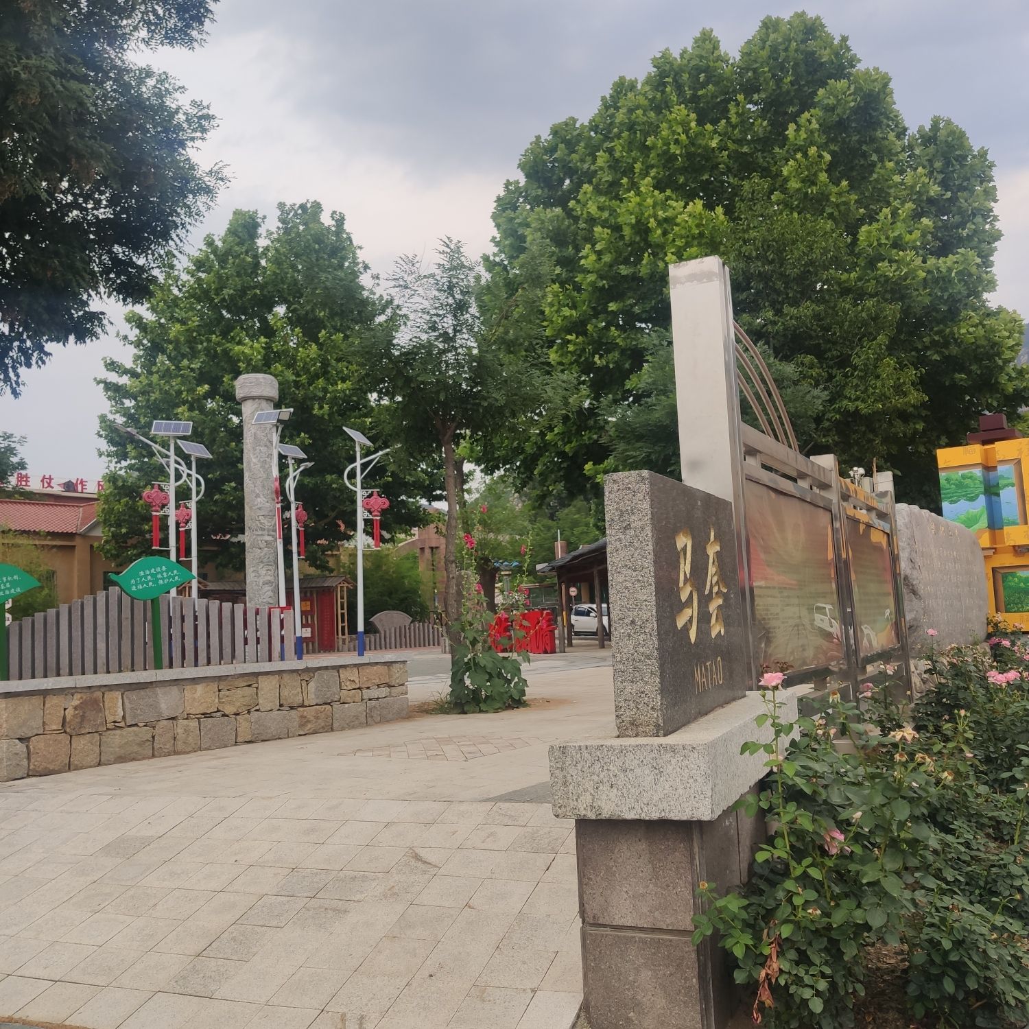 齐鲁8号风情路旅行图片 1