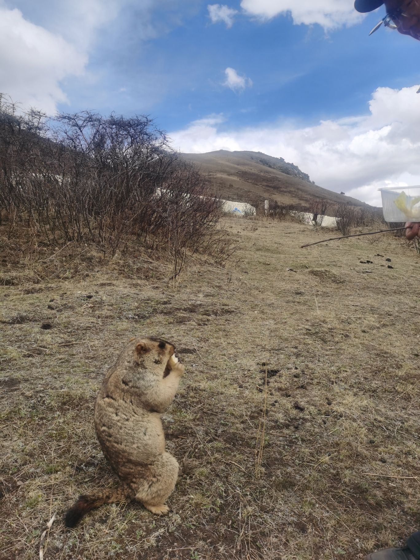 丹青药王山旅行图片 2