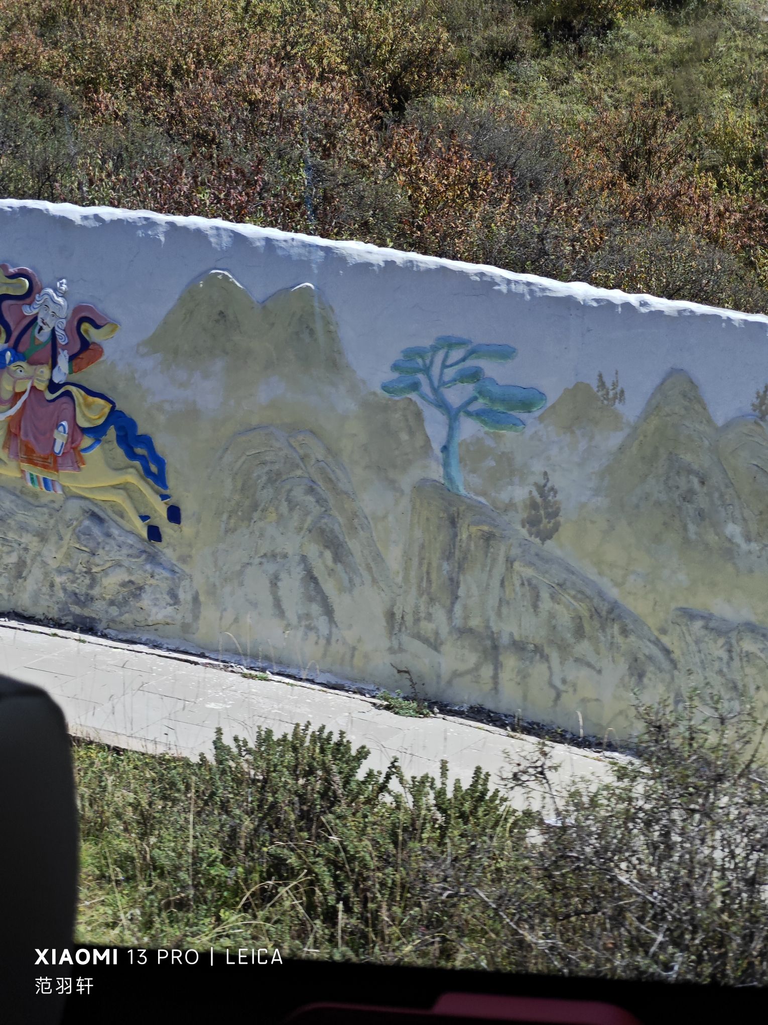 丹青药王山旅行图片 3