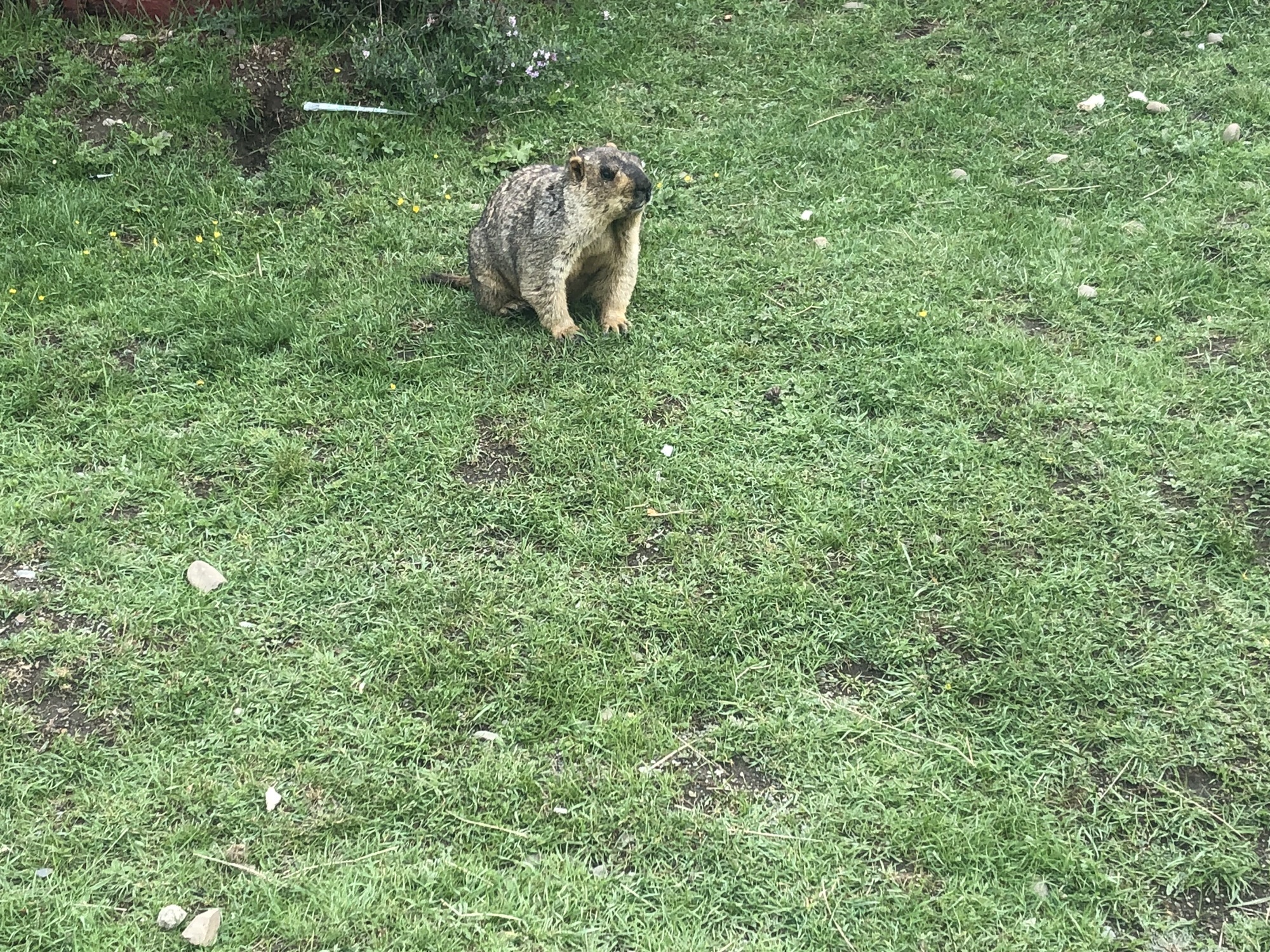 丹青药王山旅行图片 3