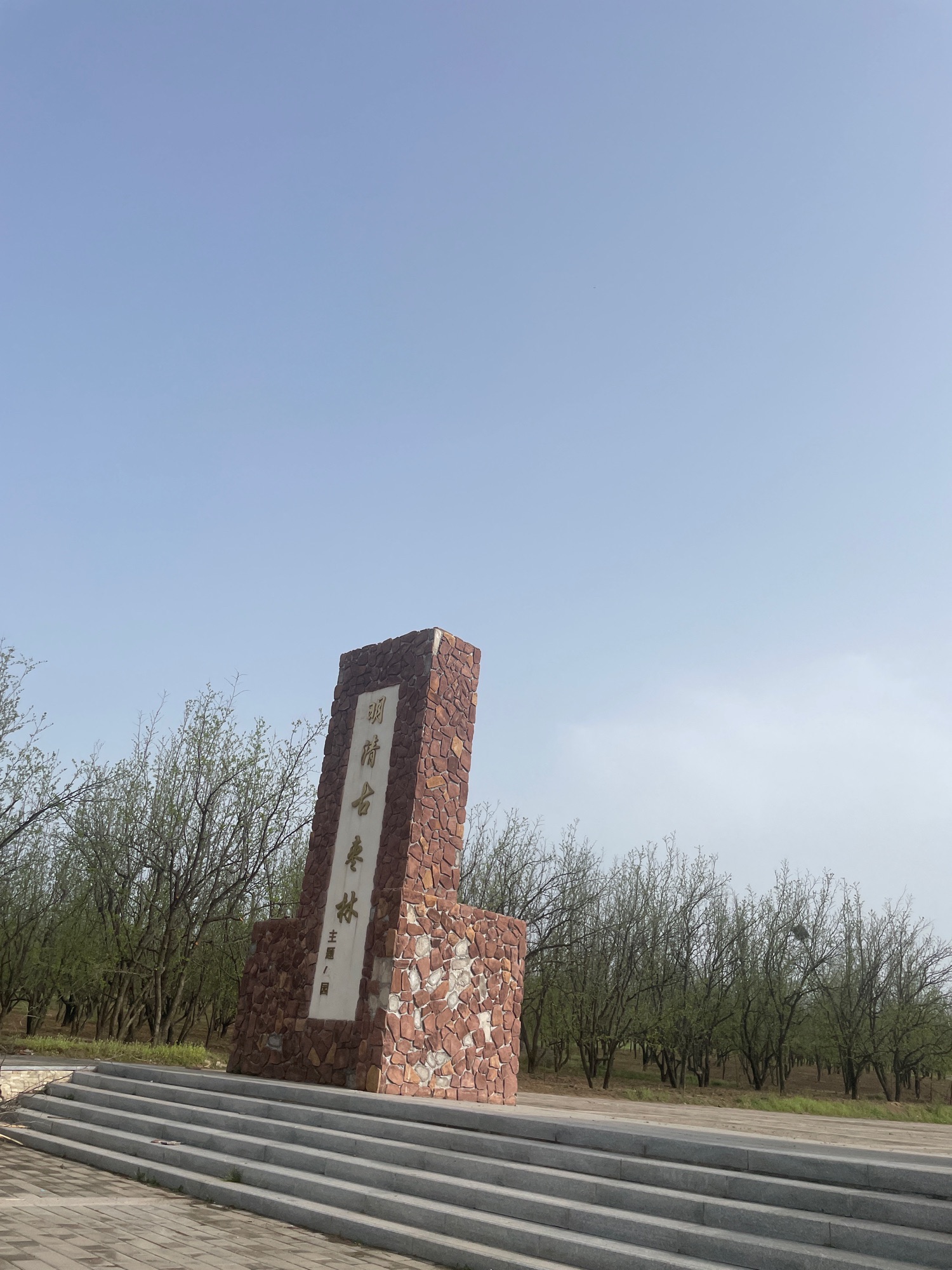 明清古枣林主题公园旅行图片 1