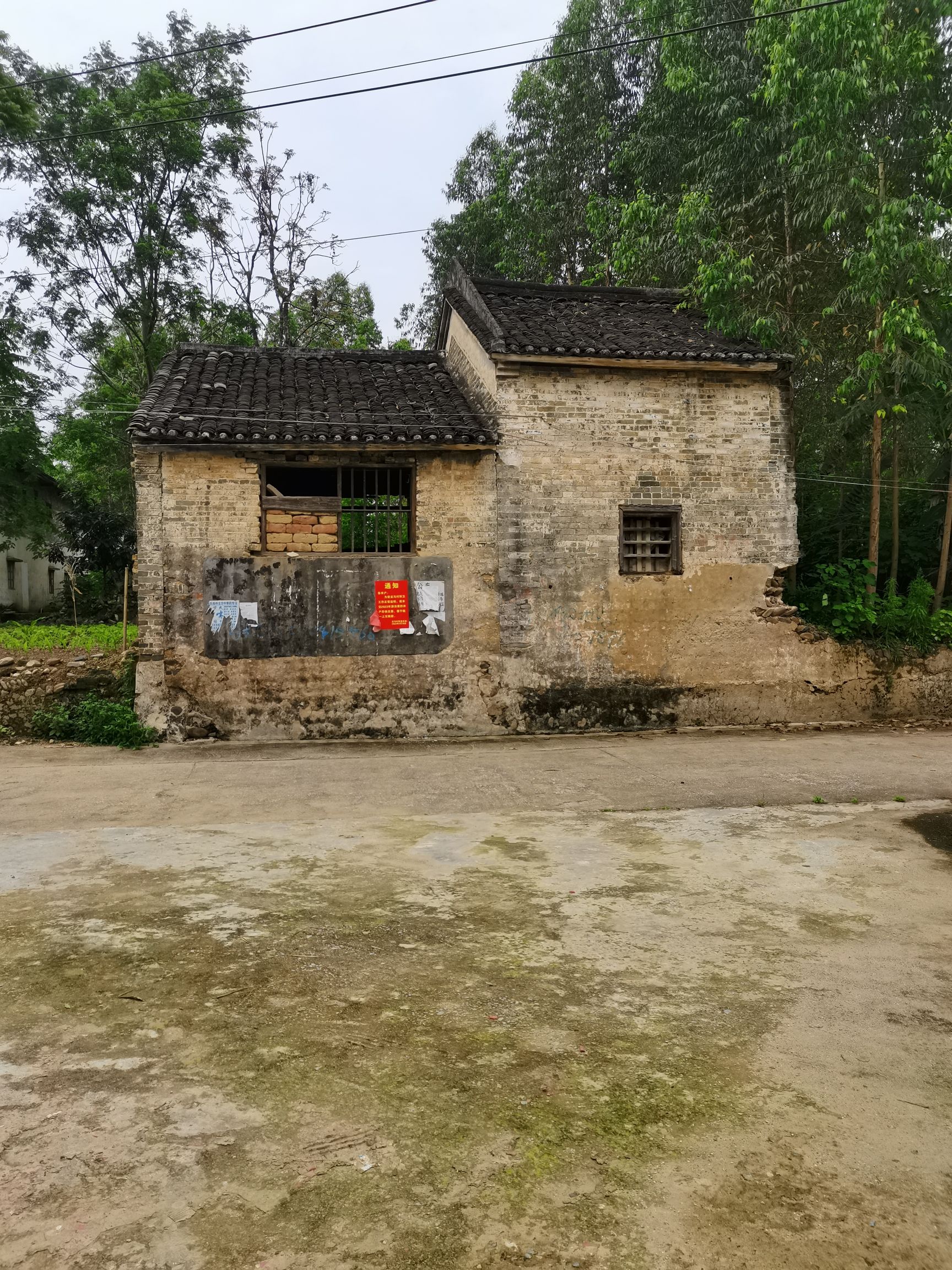 龙回榕木社旅行图片 2