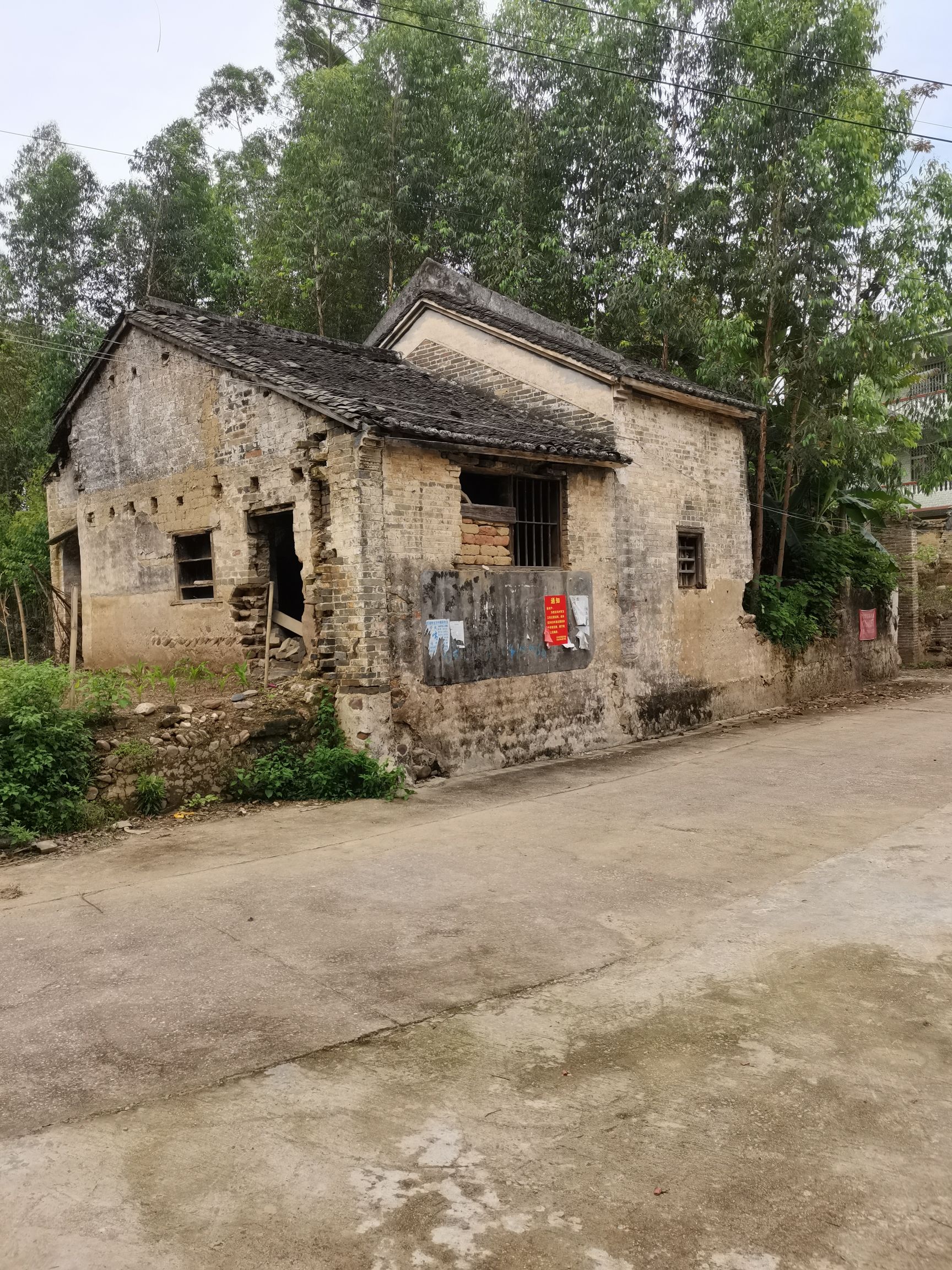 龙回榕木社旅行图片 1