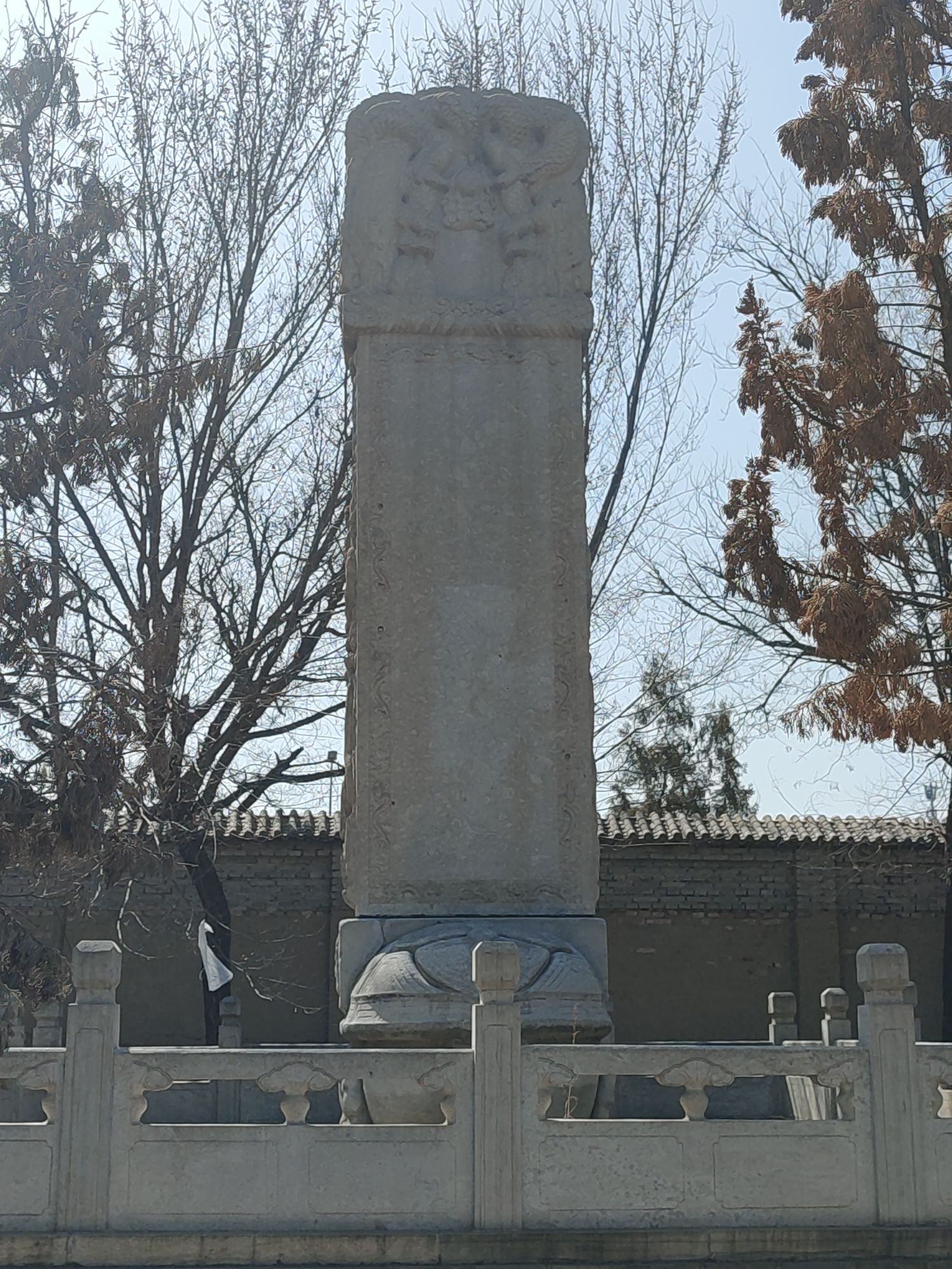 杨增新墓旅行图片 1