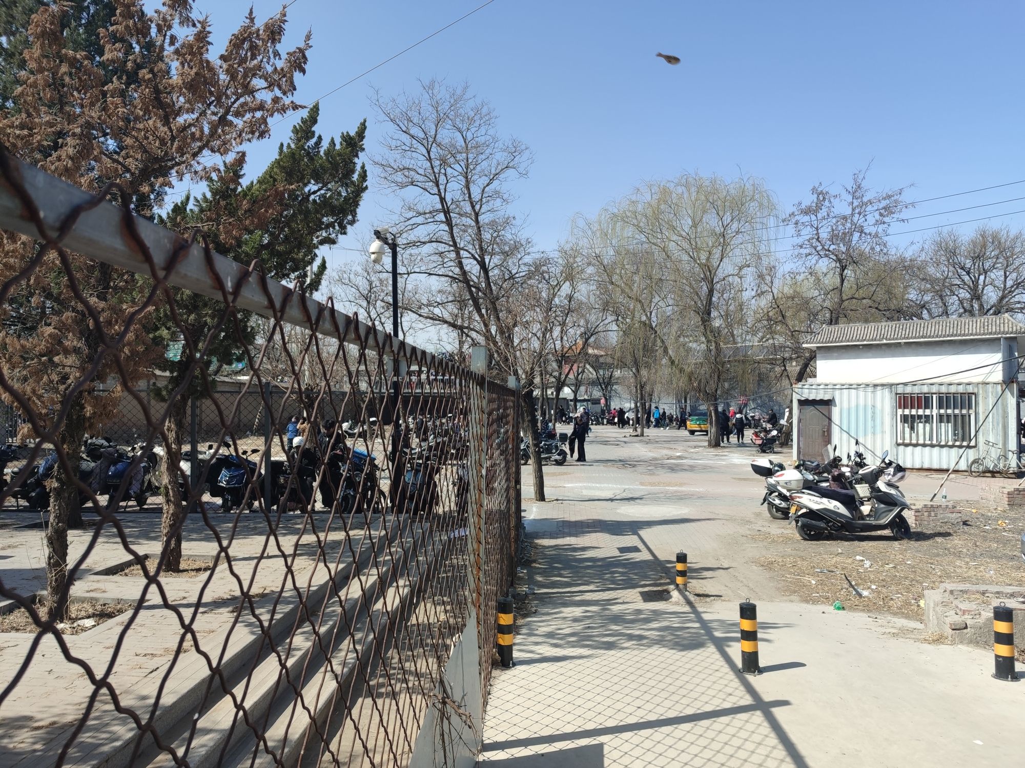 杨增新墓旅行图片 3