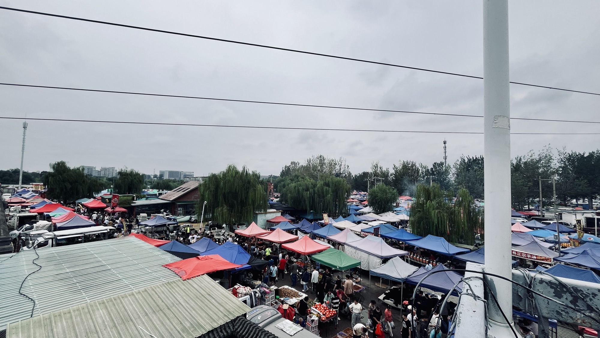 杨增新墓旅行图片 2