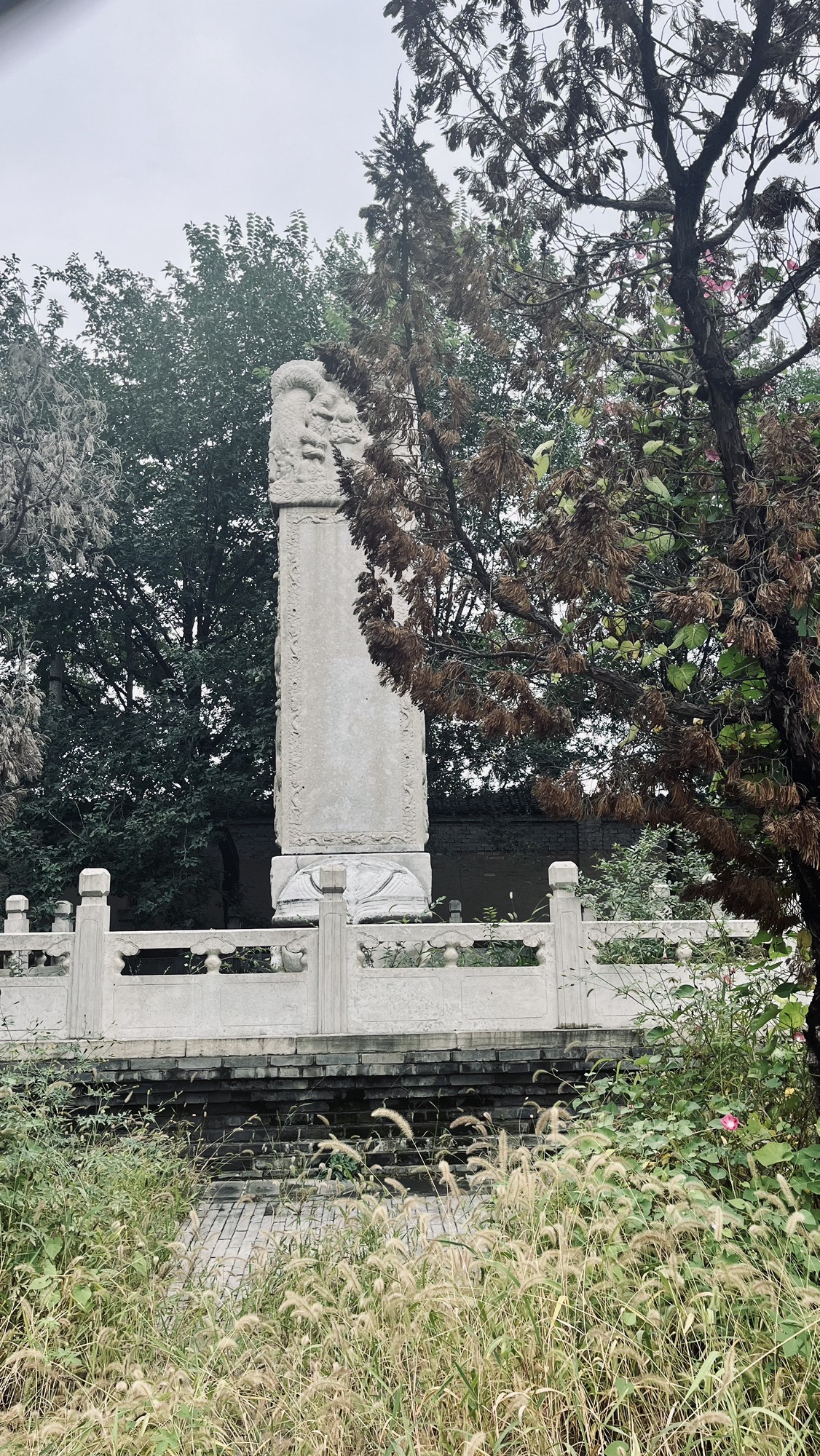 杨增新墓旅行图片 1