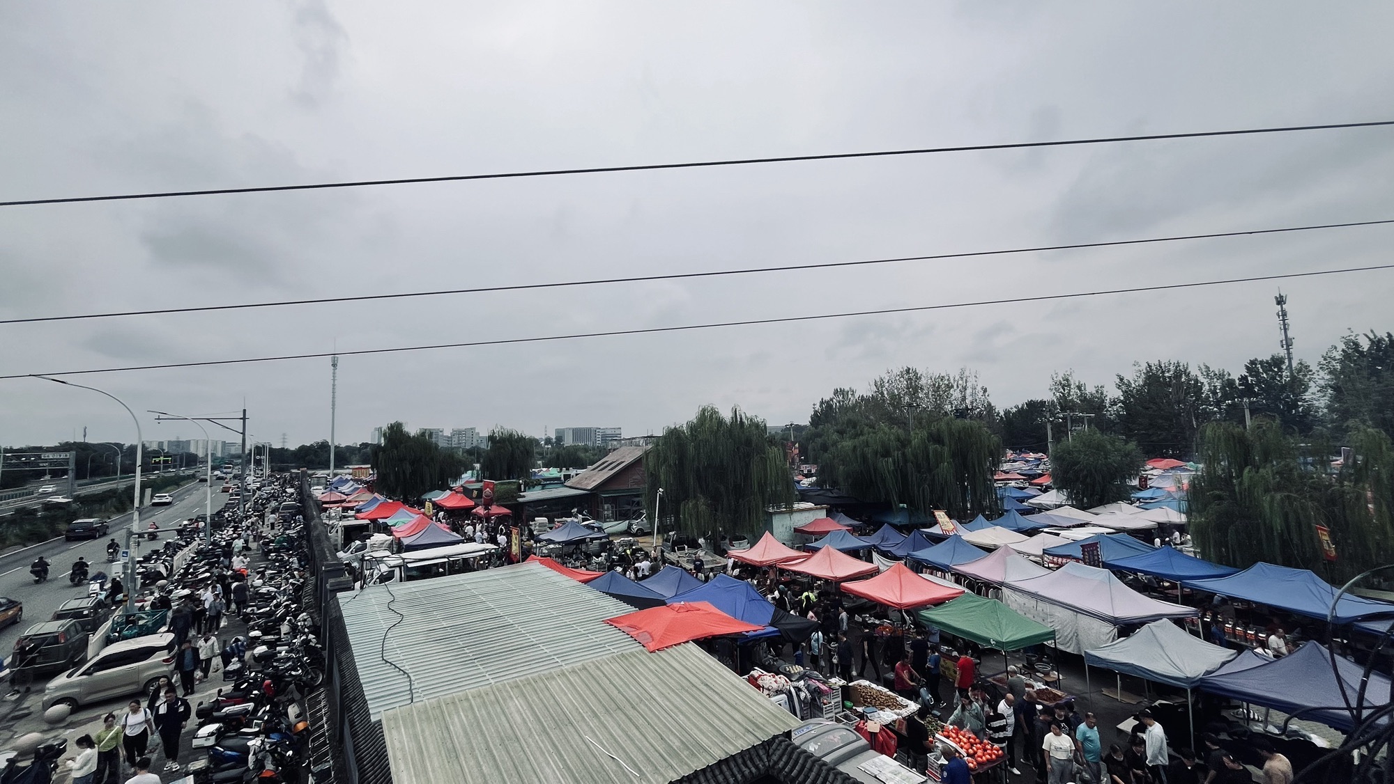 杨增新墓旅行图片 3