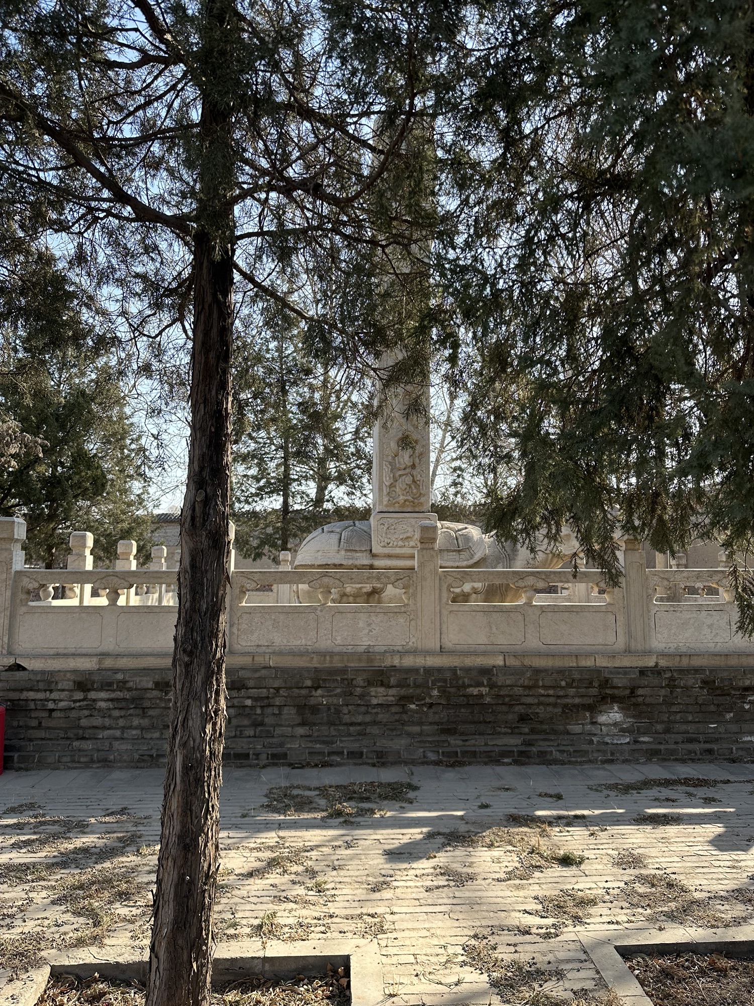 杨增新墓旅行图片 2