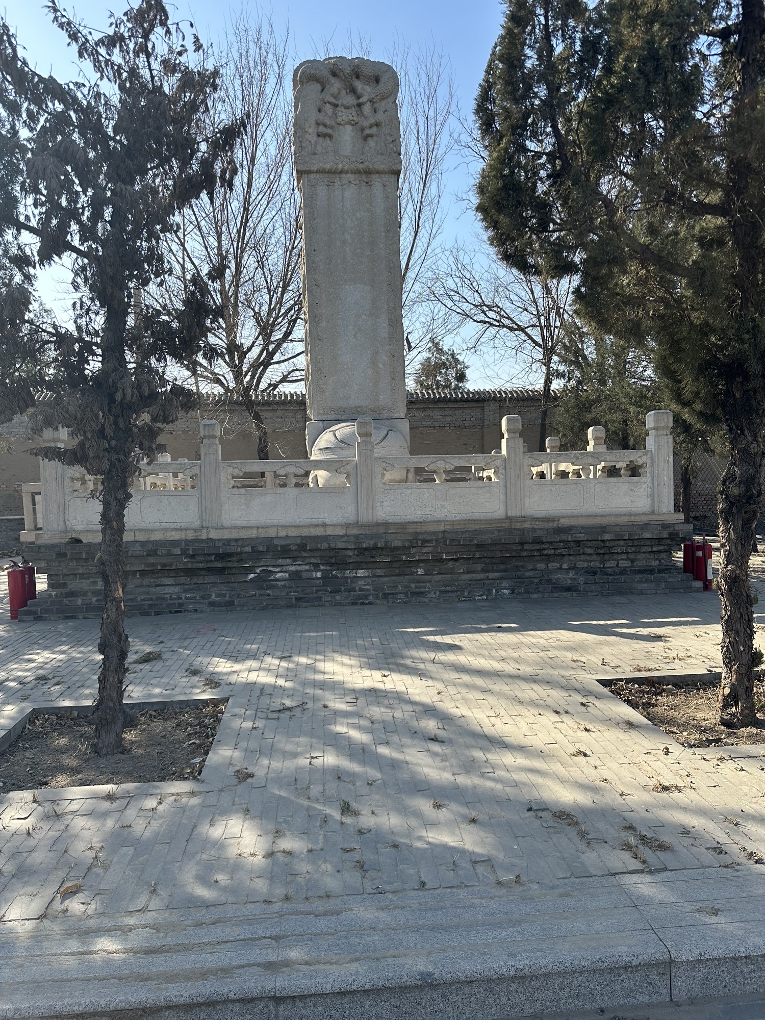 杨增新墓旅行图片 3