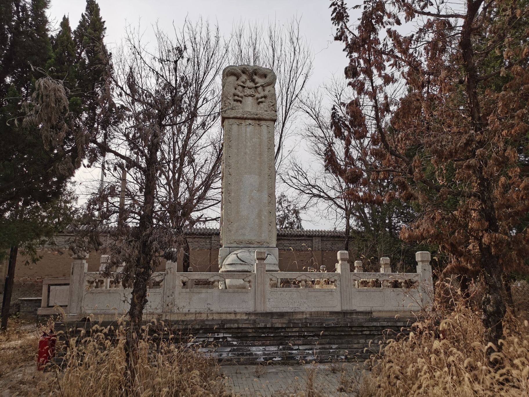 杨增新墓旅行图片 1