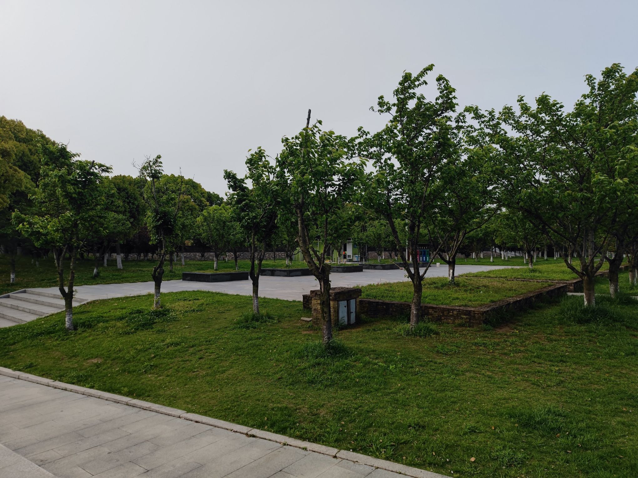 常熟滨江生态公园旅行图片 3