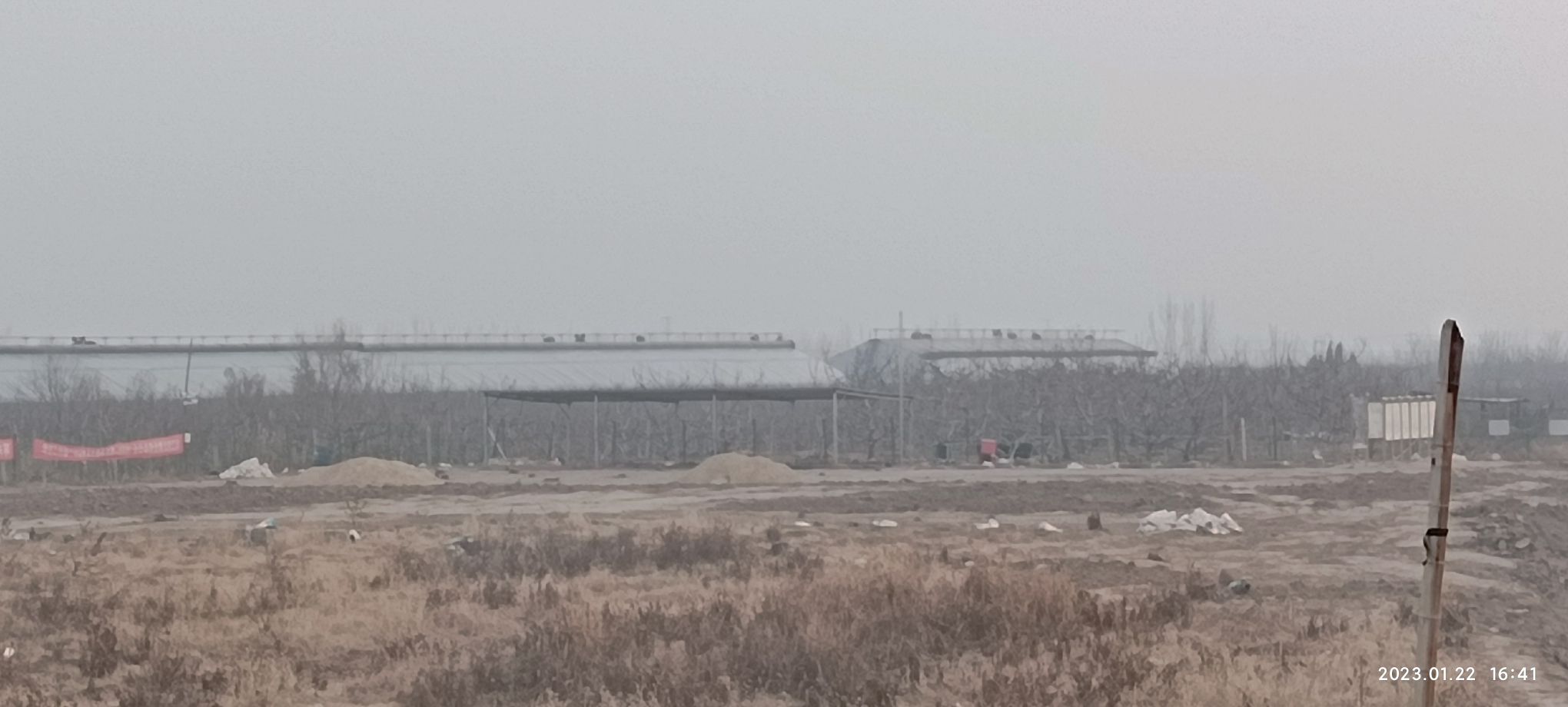 桐林遗址旅行图片 1