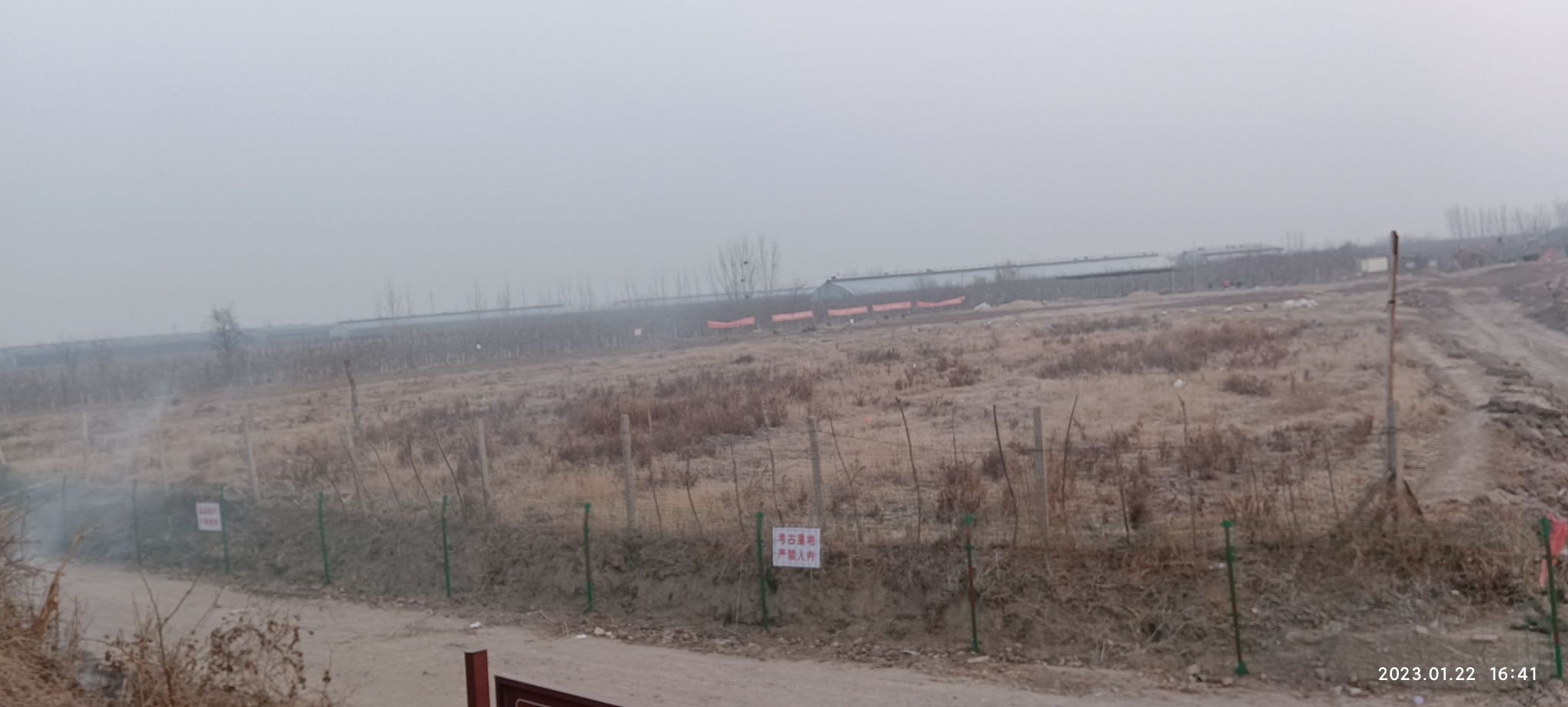 桐林遗址旅行图片 3