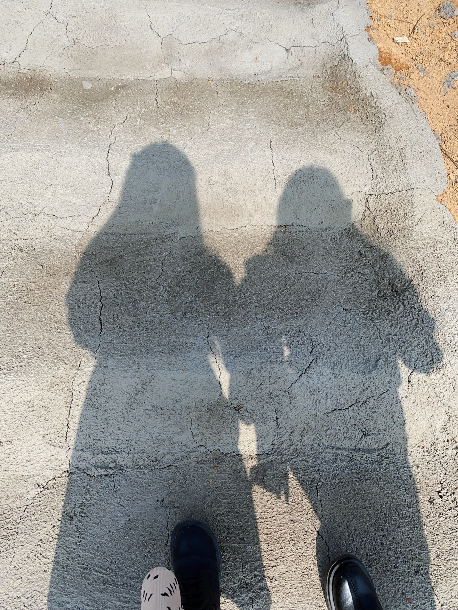 虎竹嶂梯田花海旅行图片 3