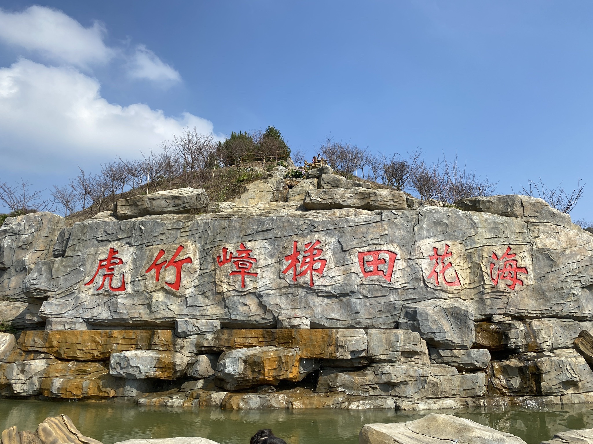 虎竹嶂梯田花海旅行图片 2