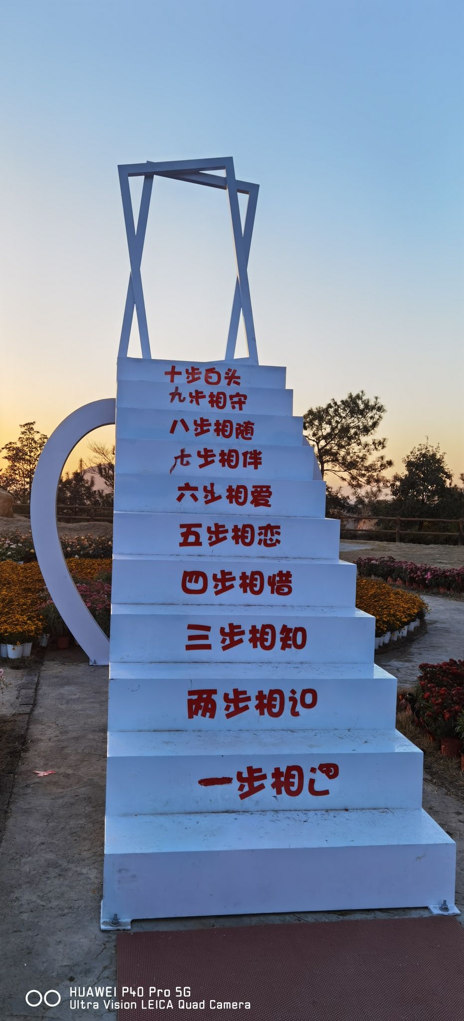 虎竹嶂梯田花海旅行图片 2