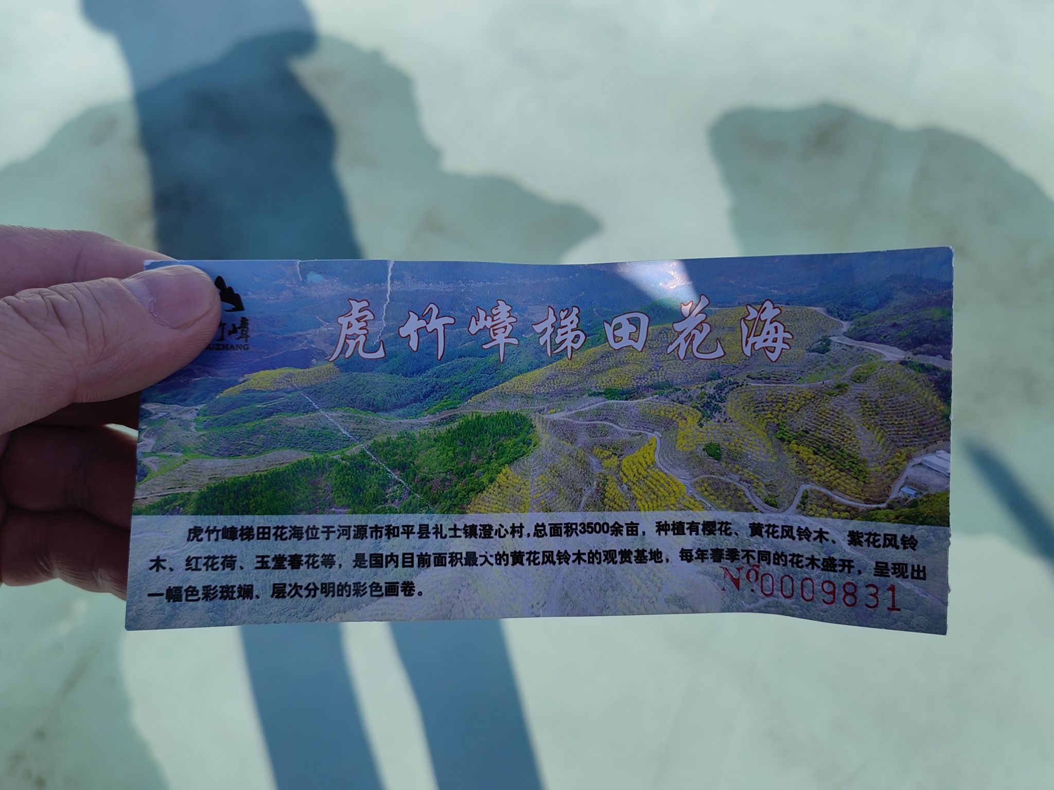 虎竹嶂梯田花海旅行图片 1