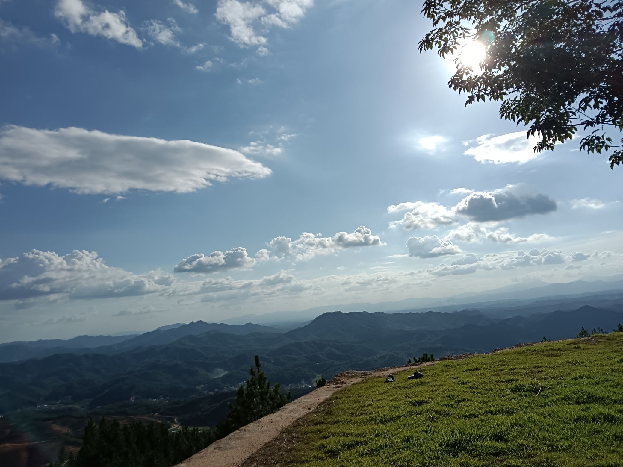 虎竹嶂梯田花海旅行图片 2