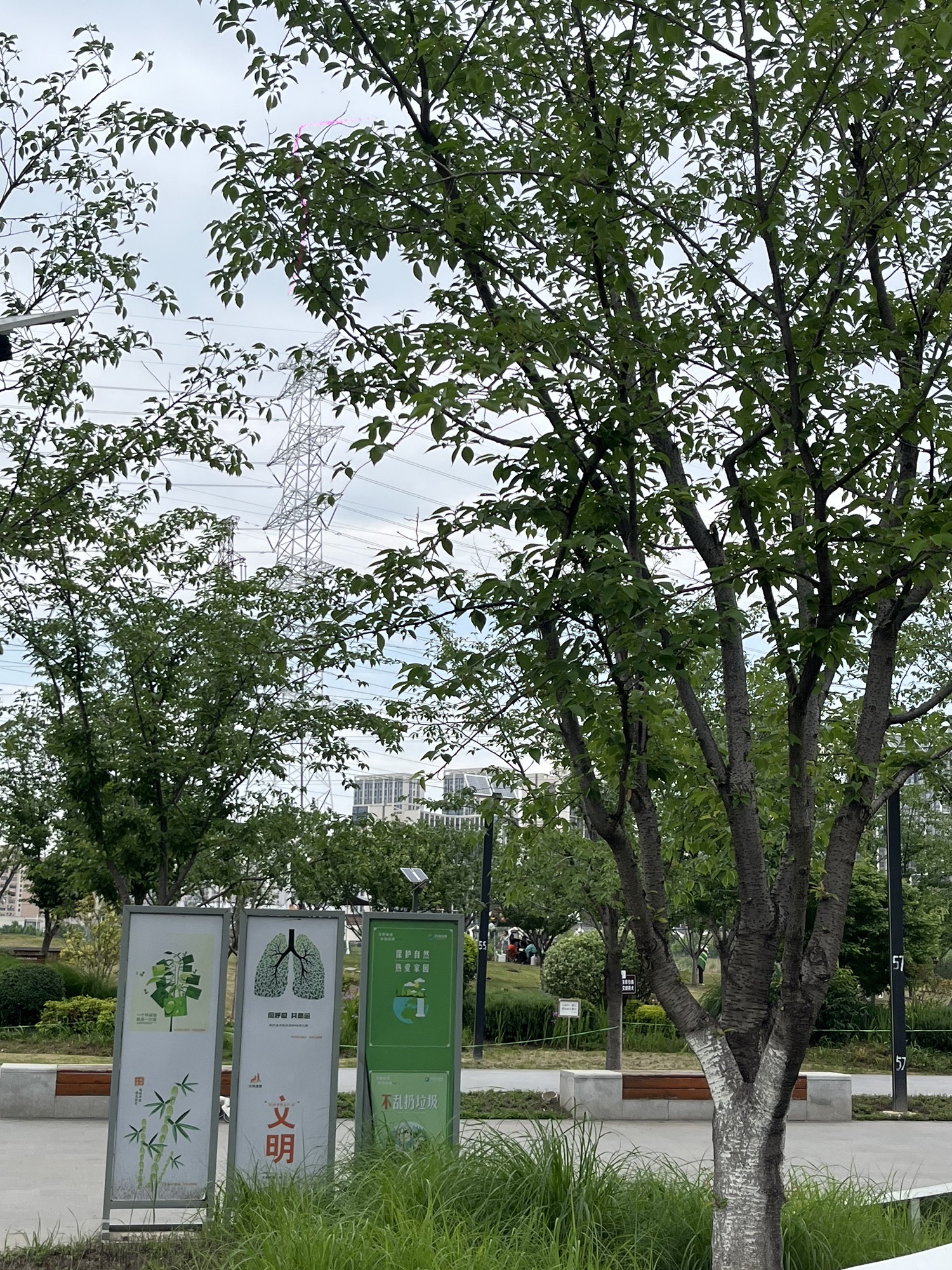 黄塘湖公园旅行图片 3