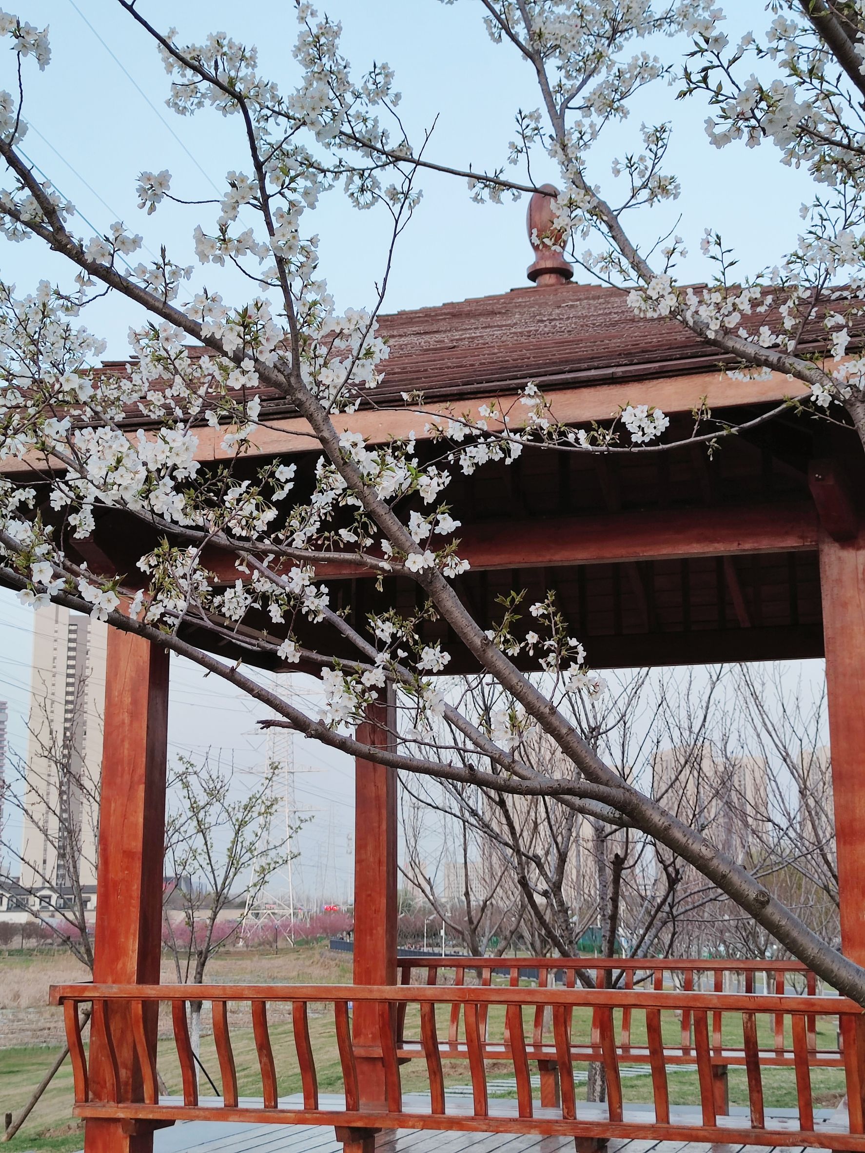 黄塘湖公园旅行图片 2