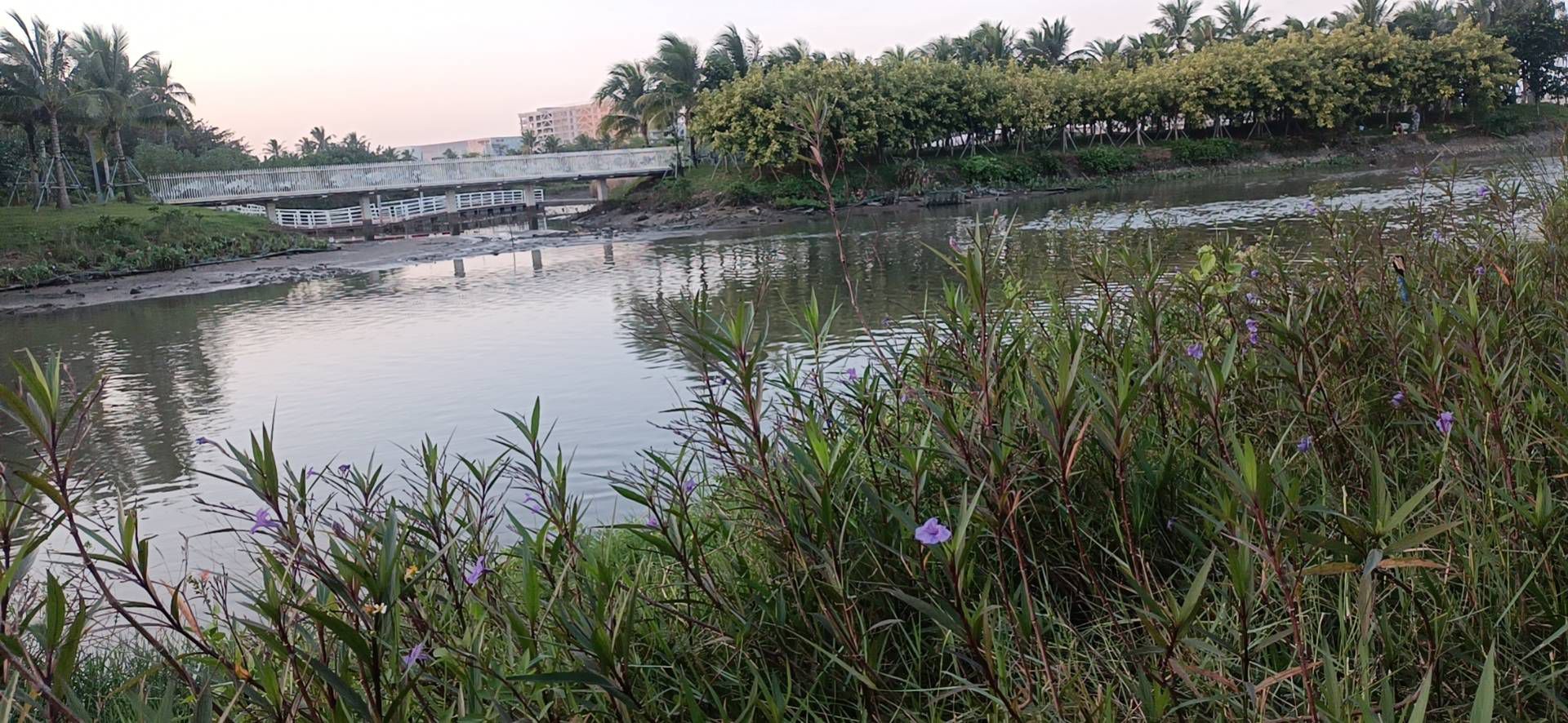 芙蓉河湿地公园旅行图片 2