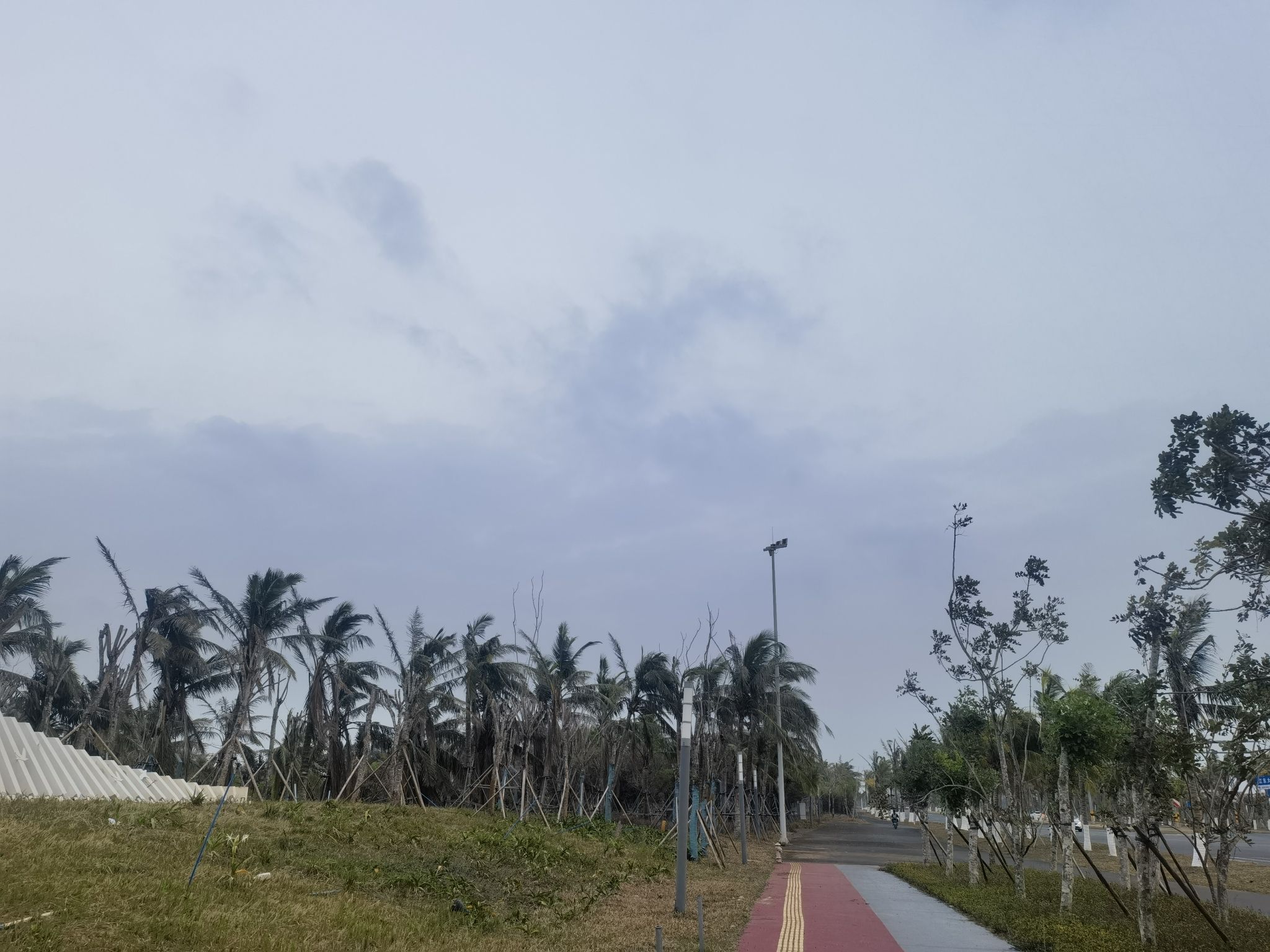芙蓉河湿地公园旅行图片 3