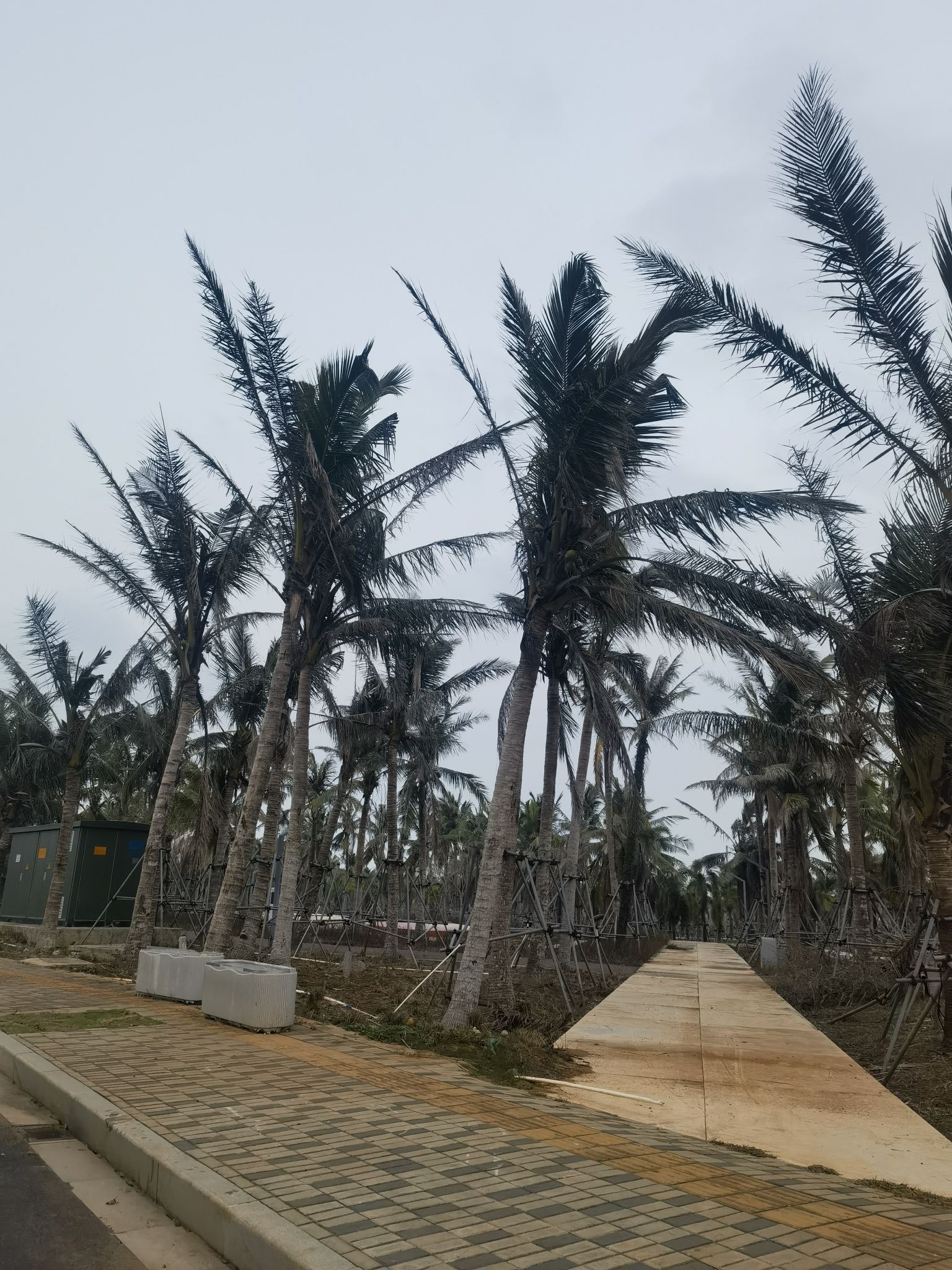 芙蓉河湿地公园旅行图片 1