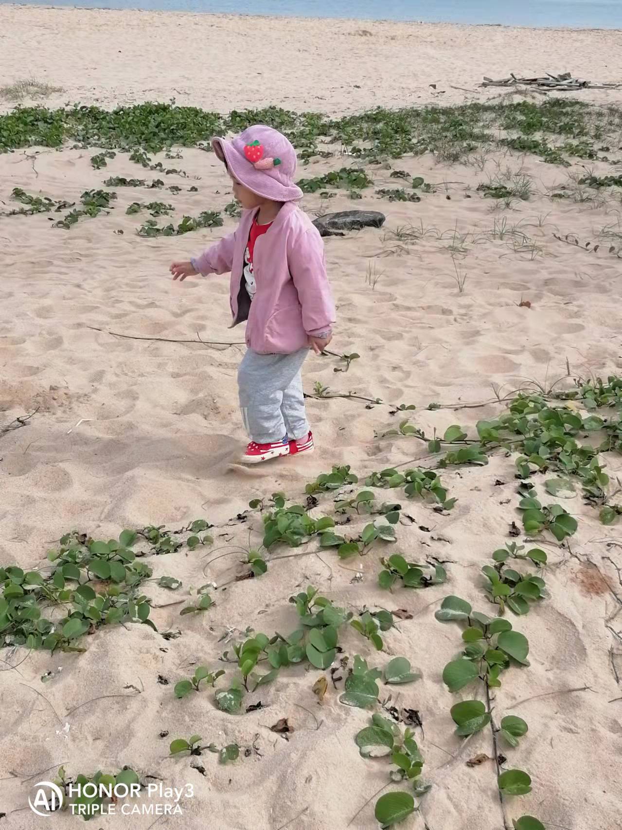 道孟河湿地公园旅行图片 1