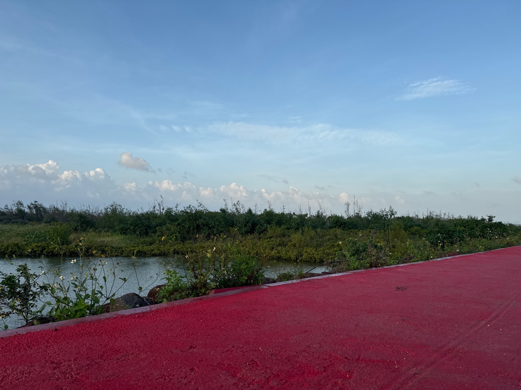 道孟河湿地公园旅行图片 3