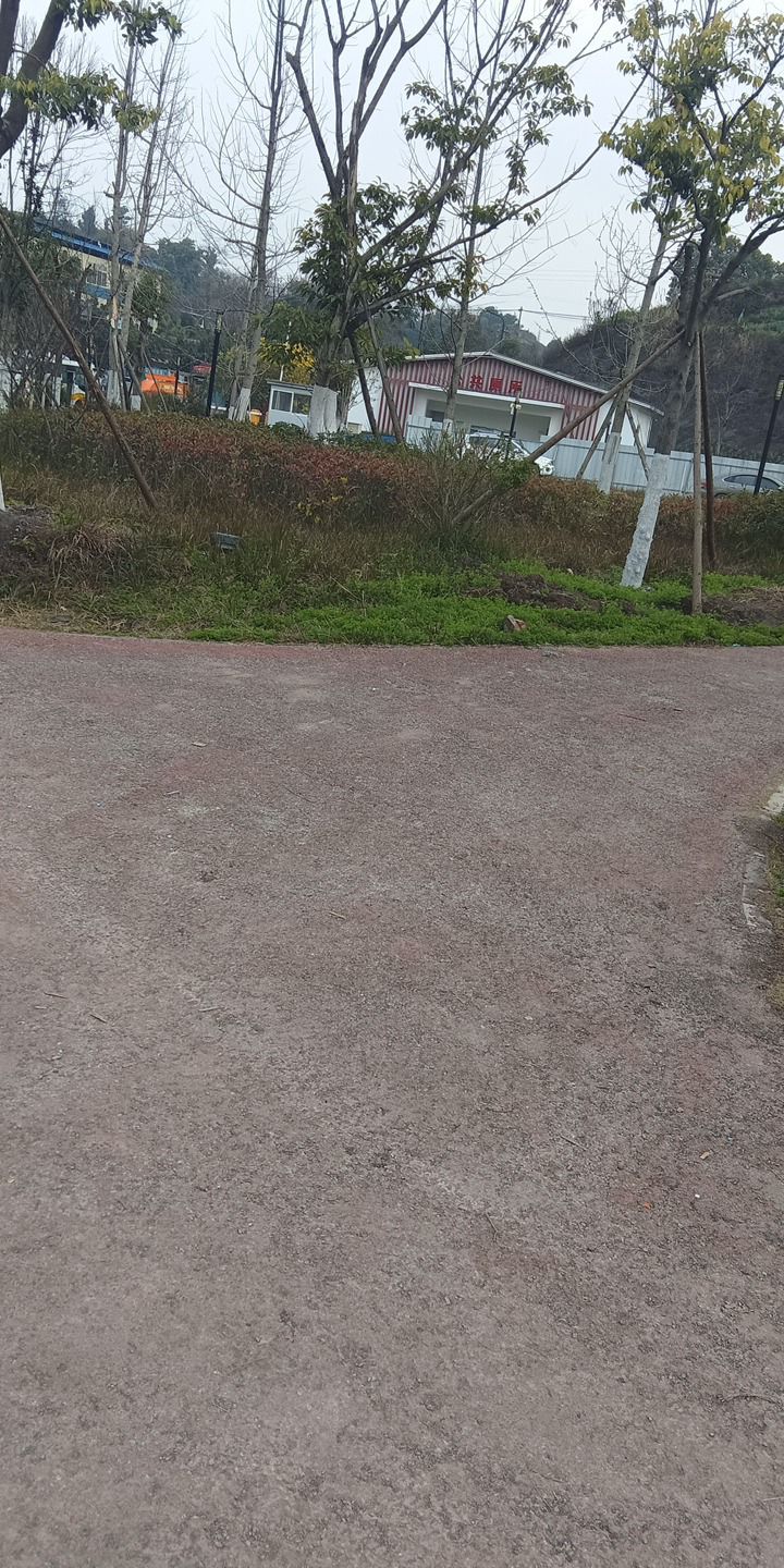 奉安公园旅行图片 1