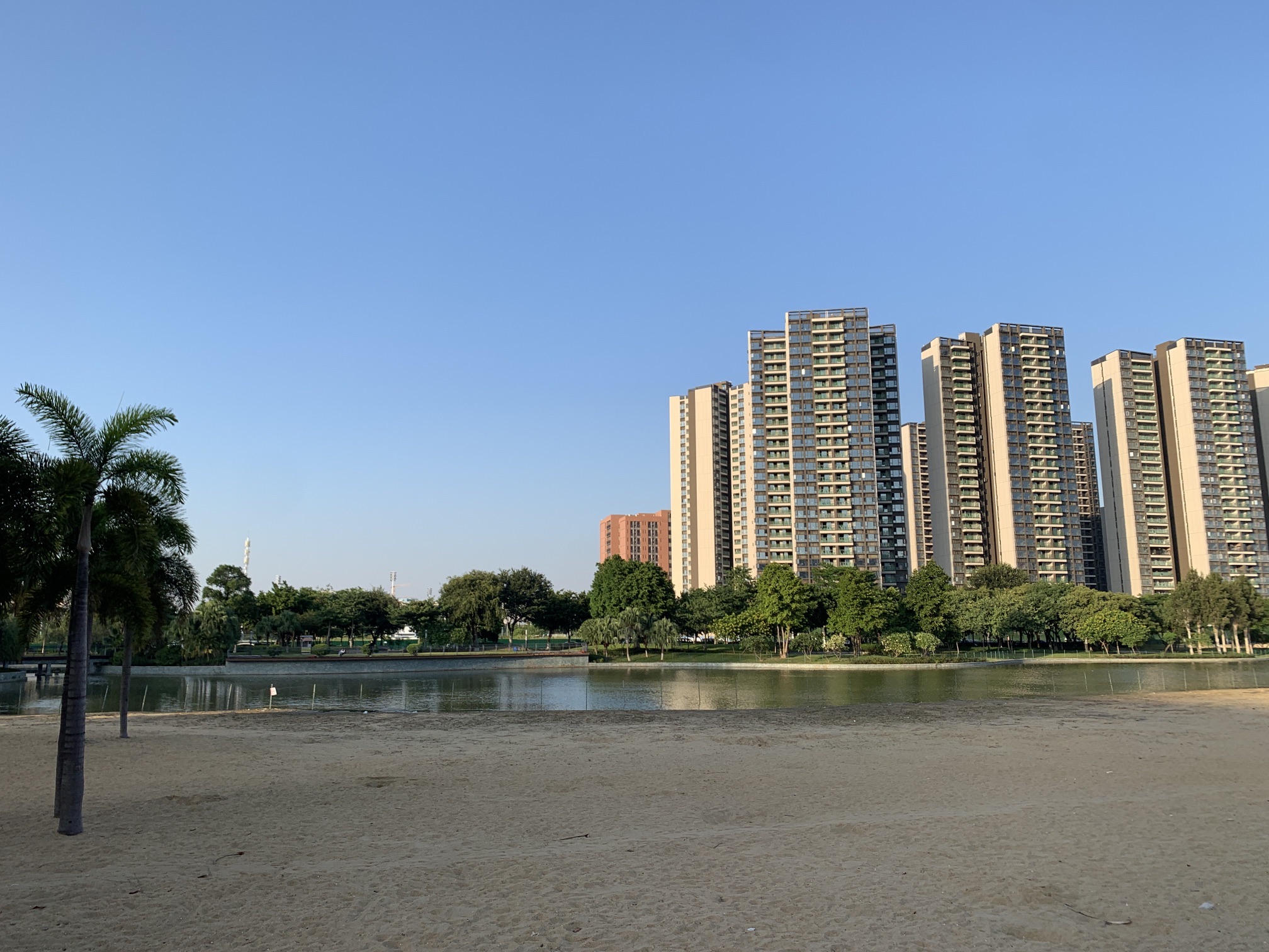 琴湖湿地公园