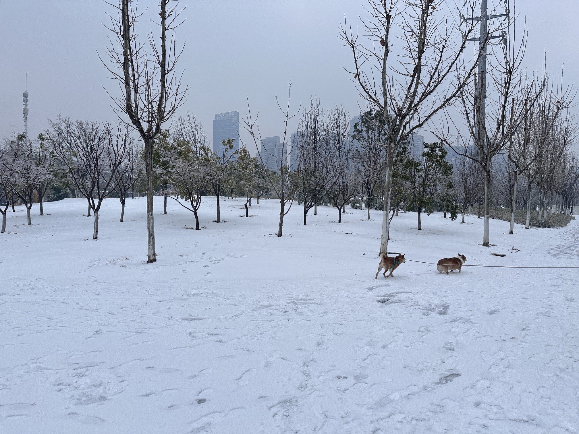 八坦路公园旅行图片 1
