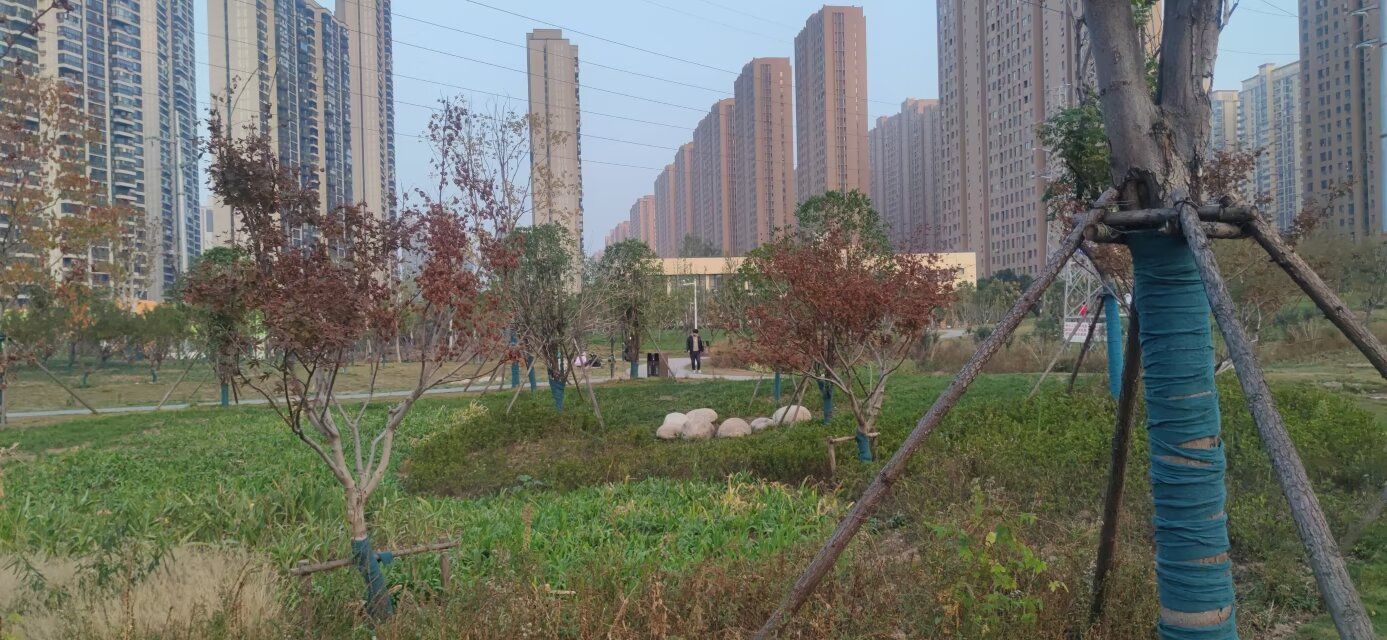 八坦路公园旅行图片 3