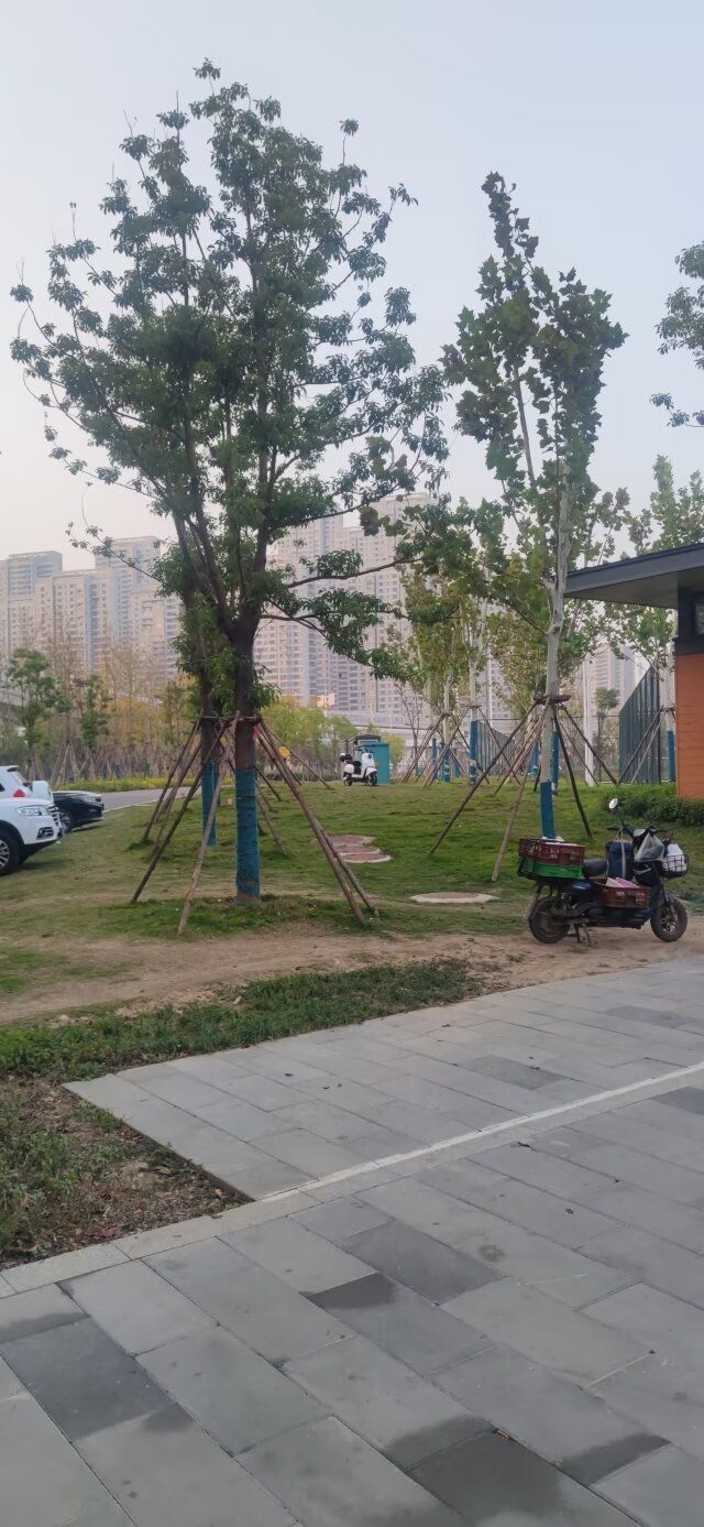 八坦路公园旅行图片 1