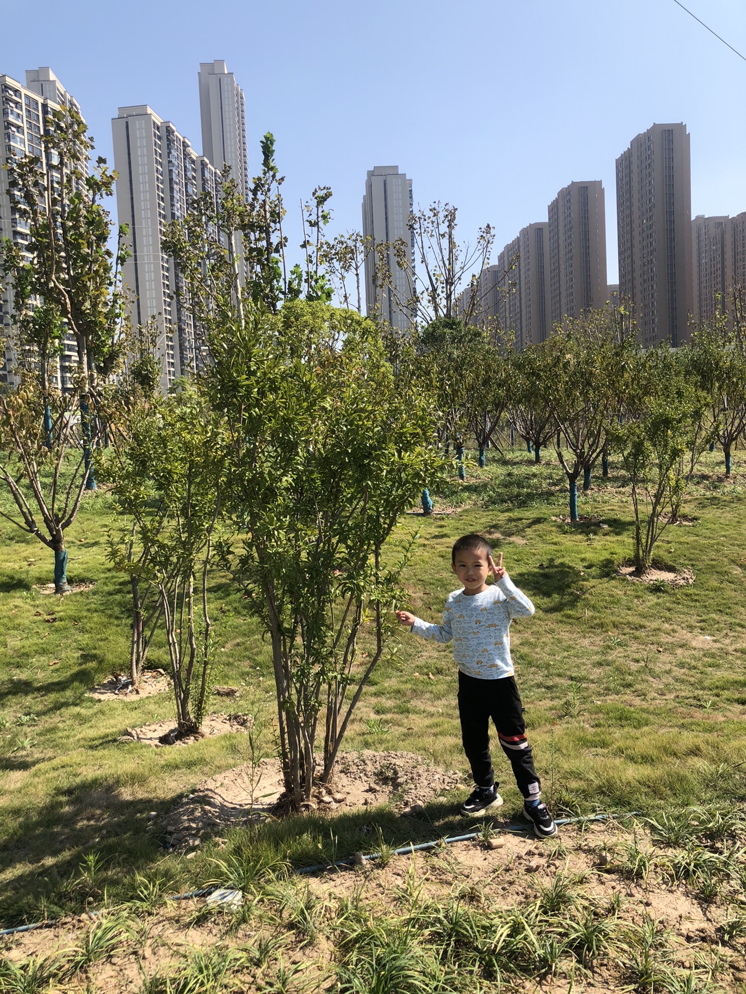 八坦路公园旅行图片 1